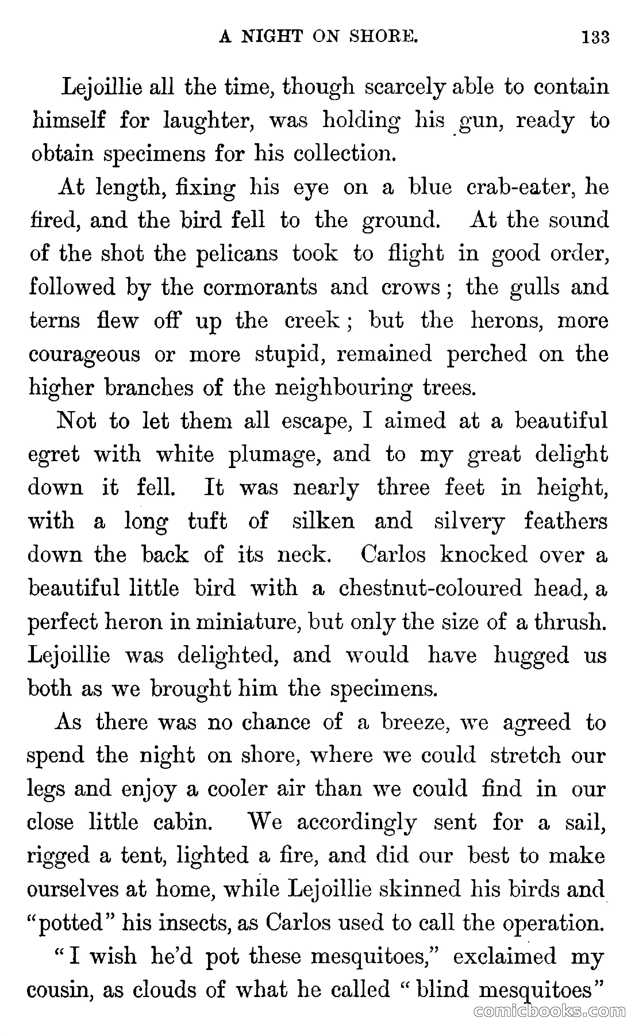 In the Wilds of Florida — page 135 of 400