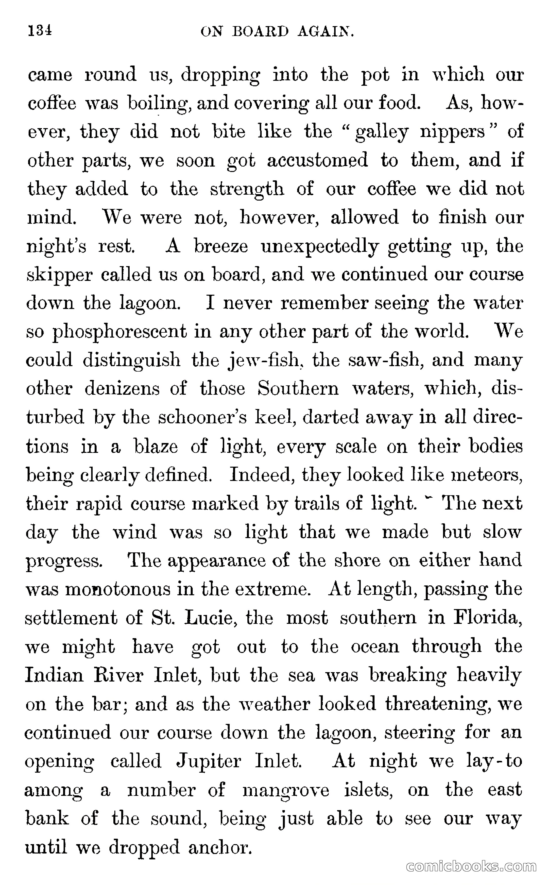 In the Wilds of Florida — page 136 of 400