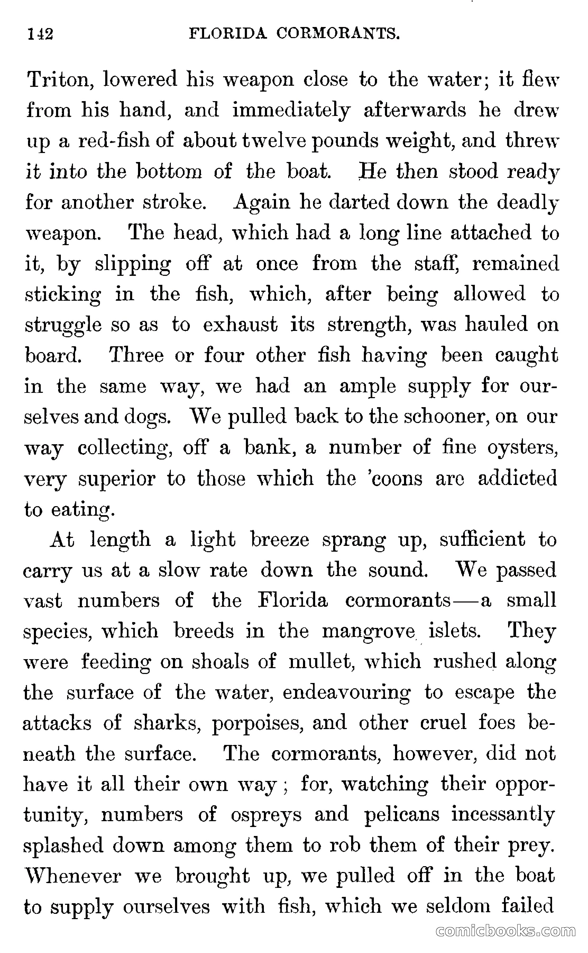 In the Wilds of Florida — page 144 of 400