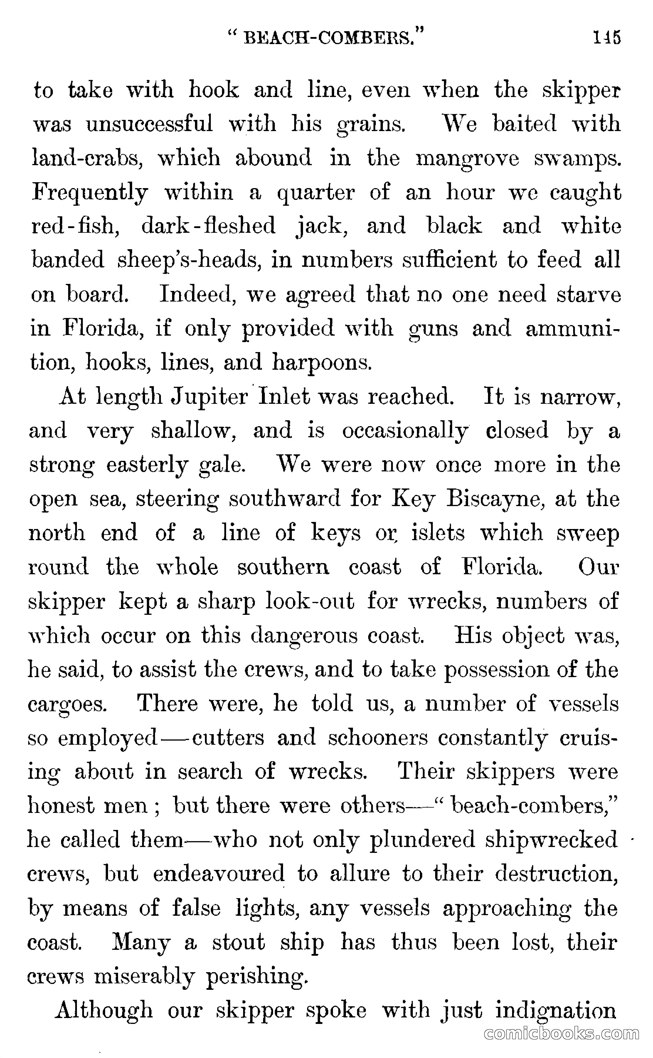 In the Wilds of Florida — page 147 of 400
