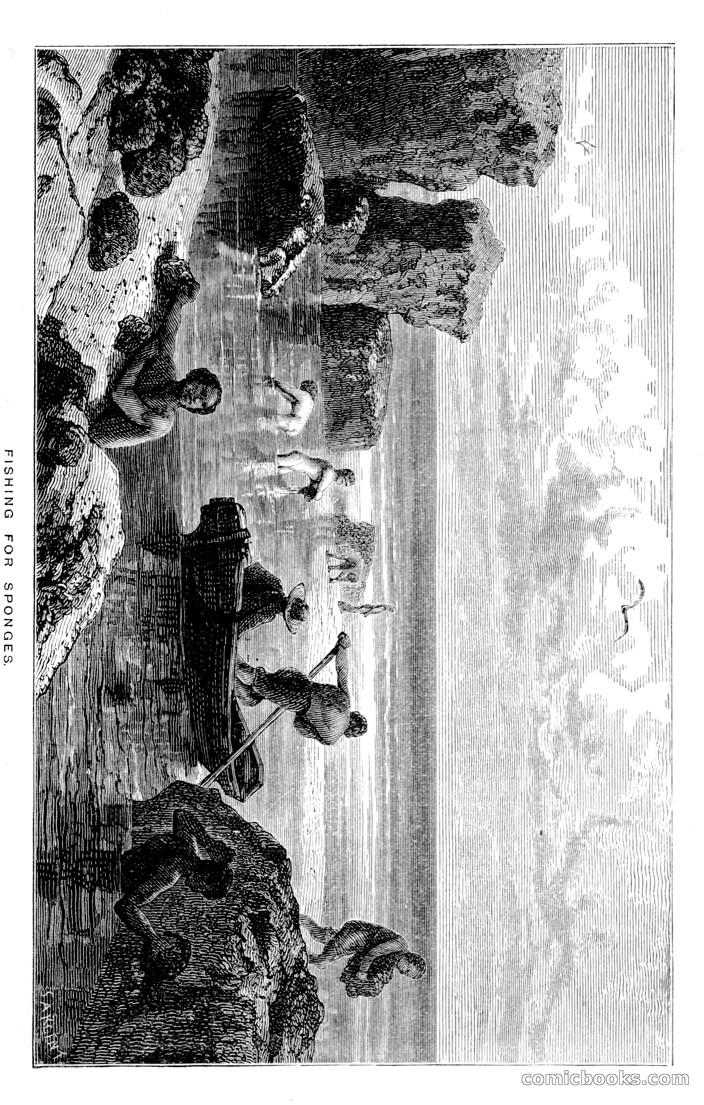 In the Wilds of Florida — page 169 of 400
