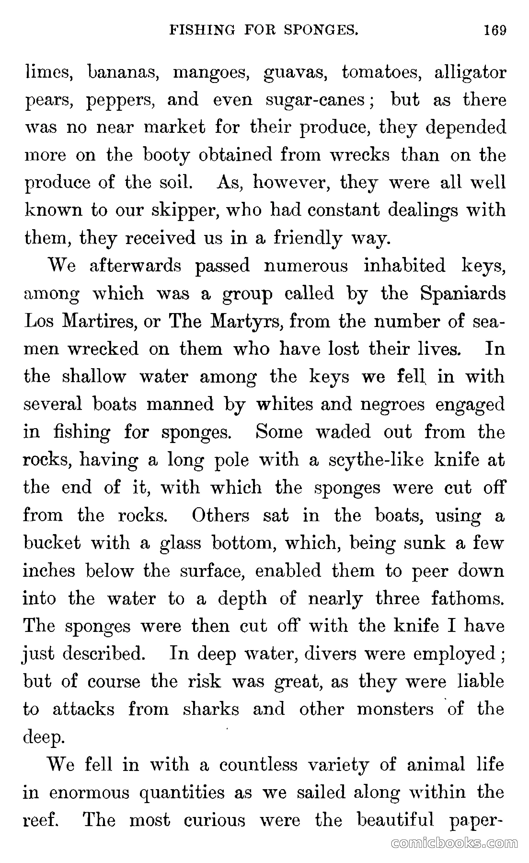 In the Wilds of Florida — page 171 of 400