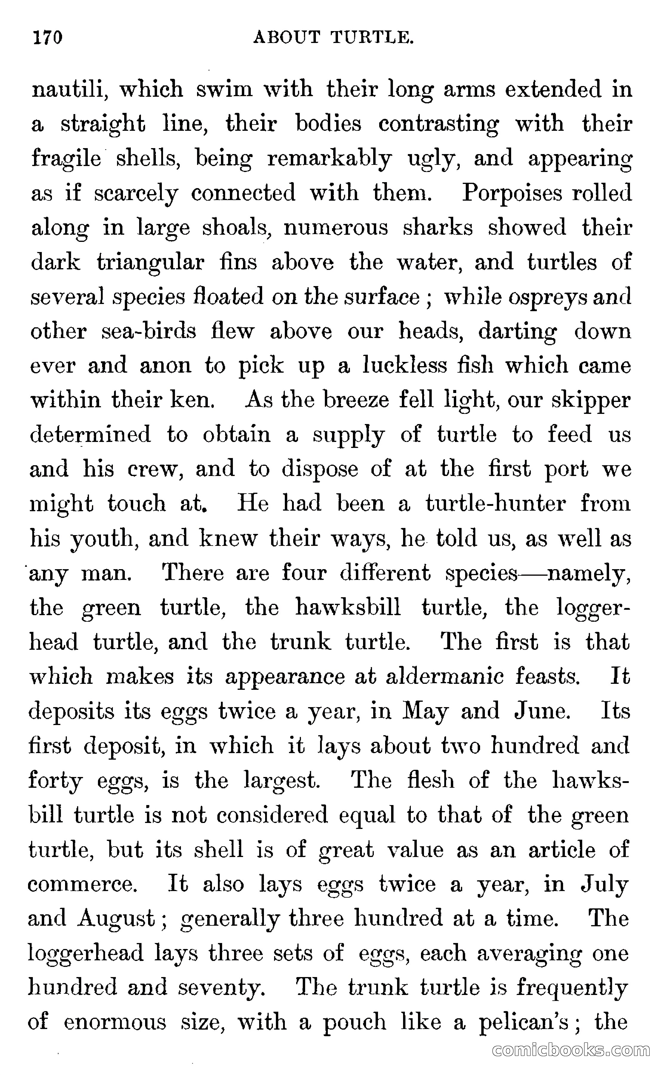 In the Wilds of Florida — page 172 of 400