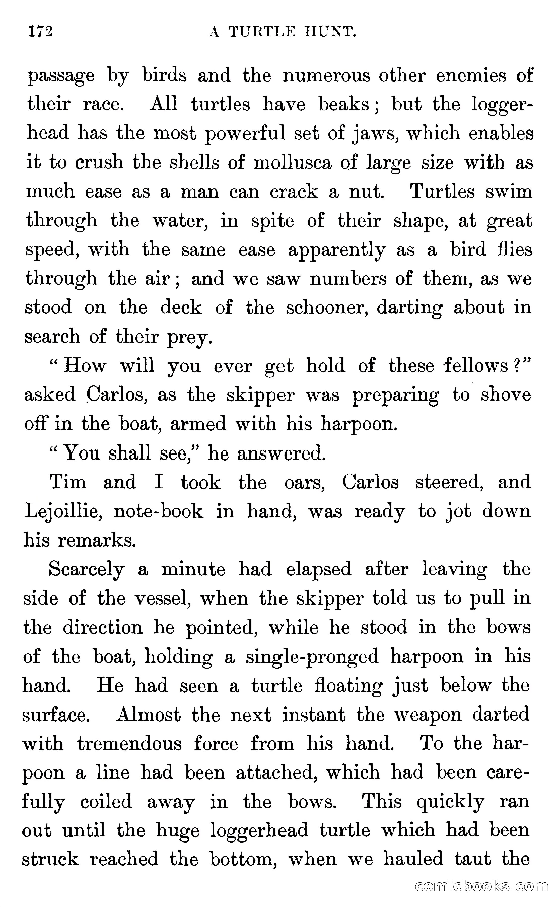 In the Wilds of Florida — page 174 of 400