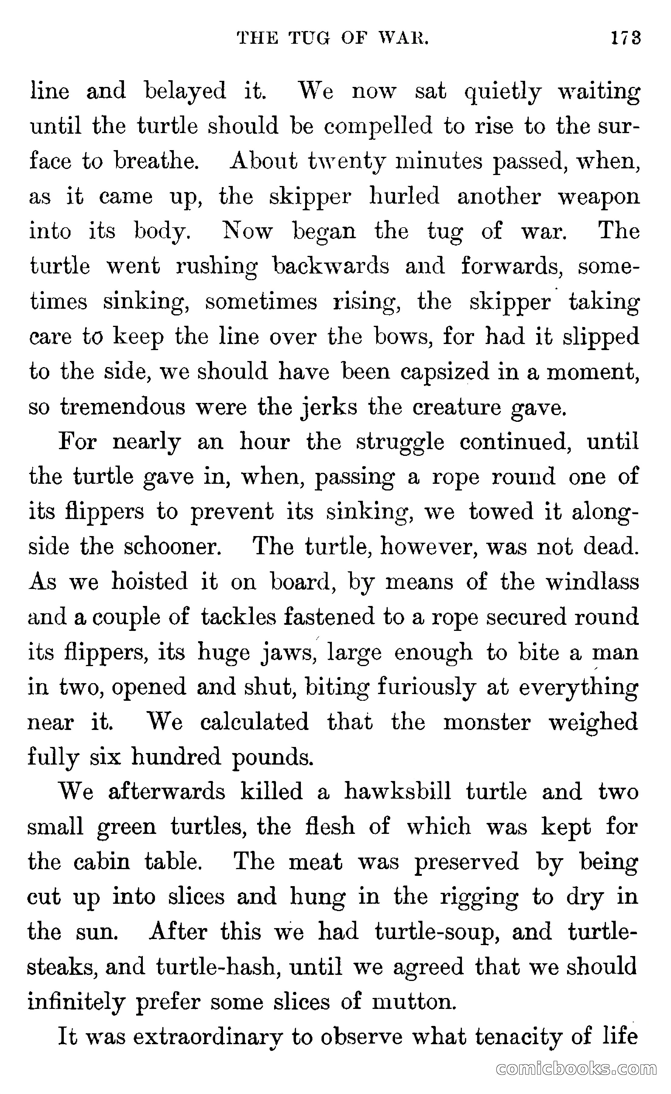 In the Wilds of Florida — page 175 of 400