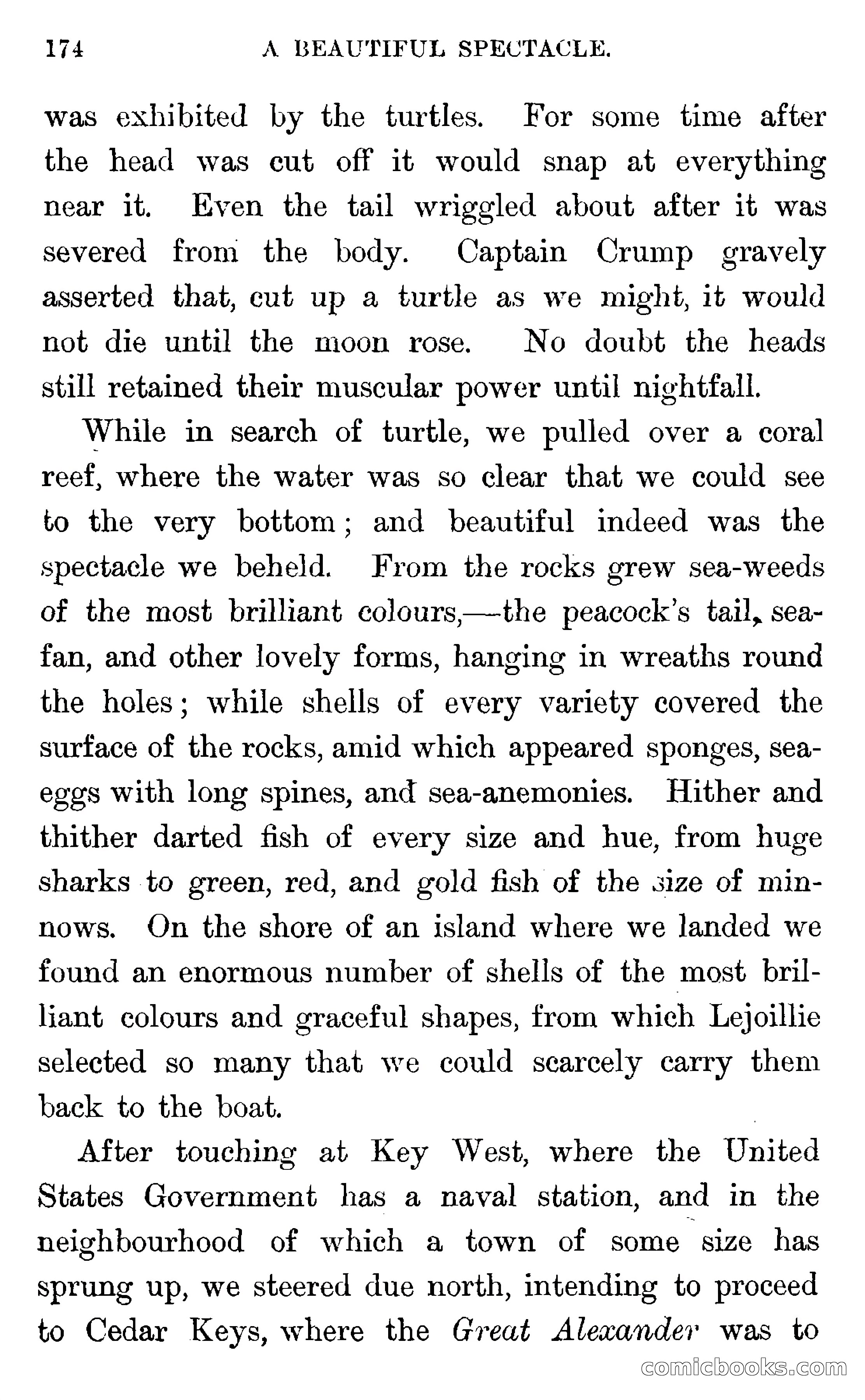 In the Wilds of Florida — page 176 of 400