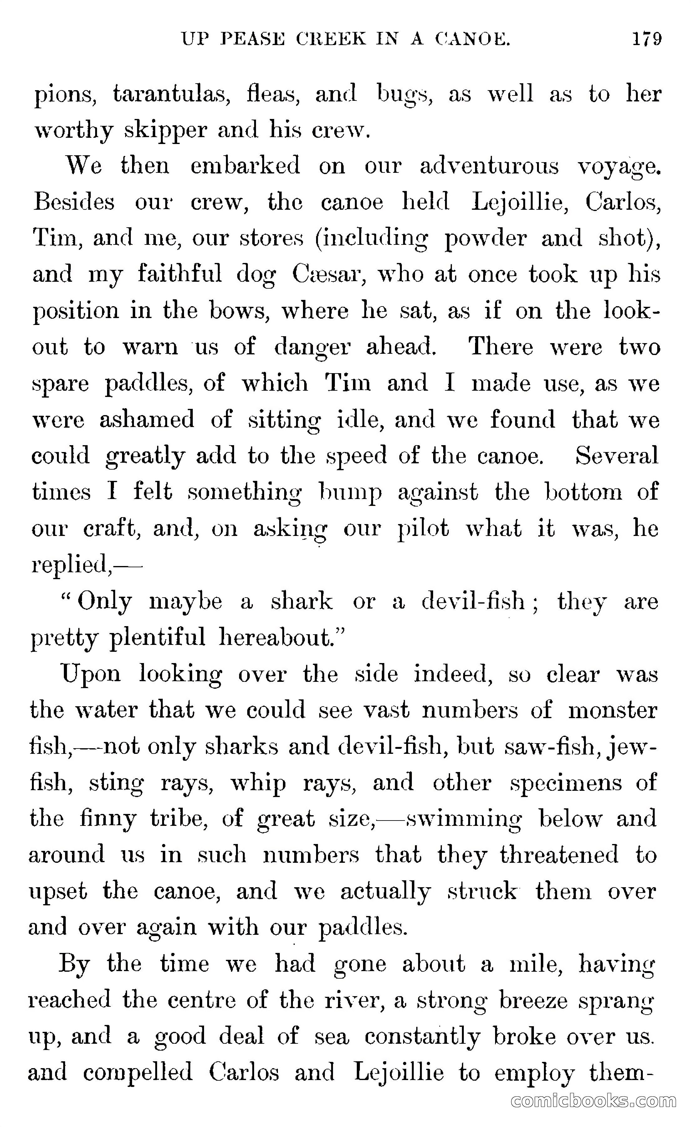 In the Wilds of Florida — page 181 of 400
