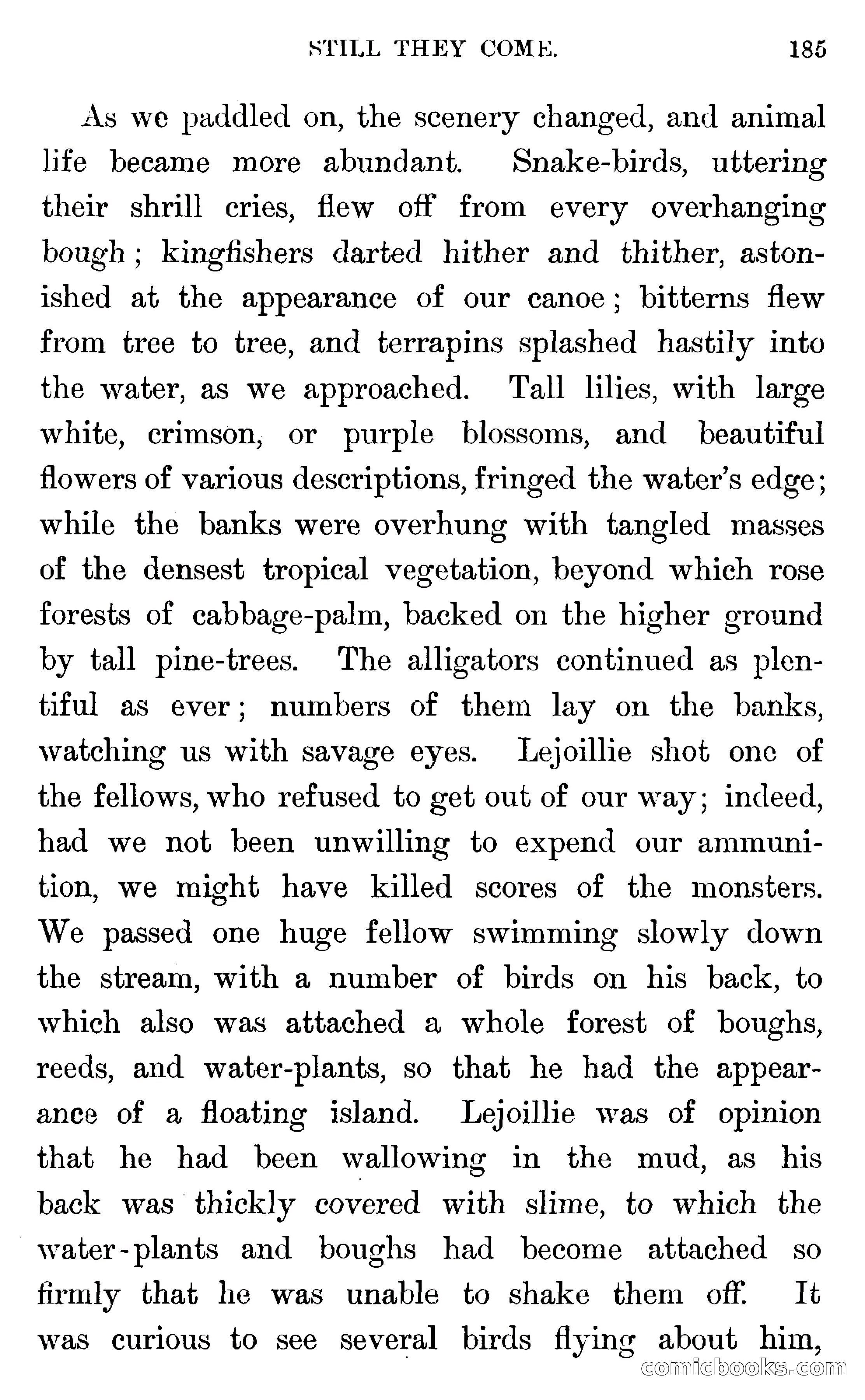 In the Wilds of Florida — page 187 of 400