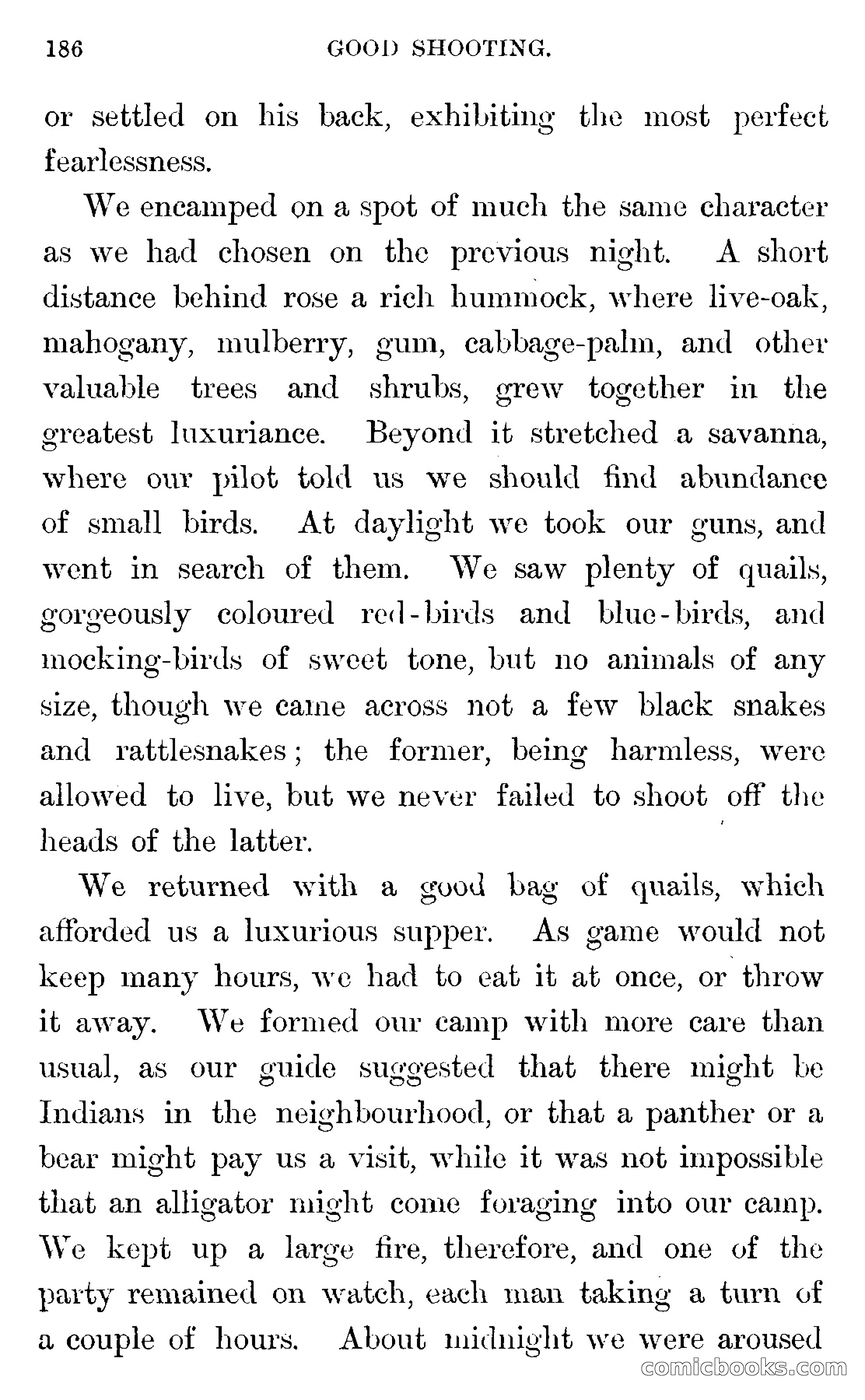 In the Wilds of Florida — page 188 of 400