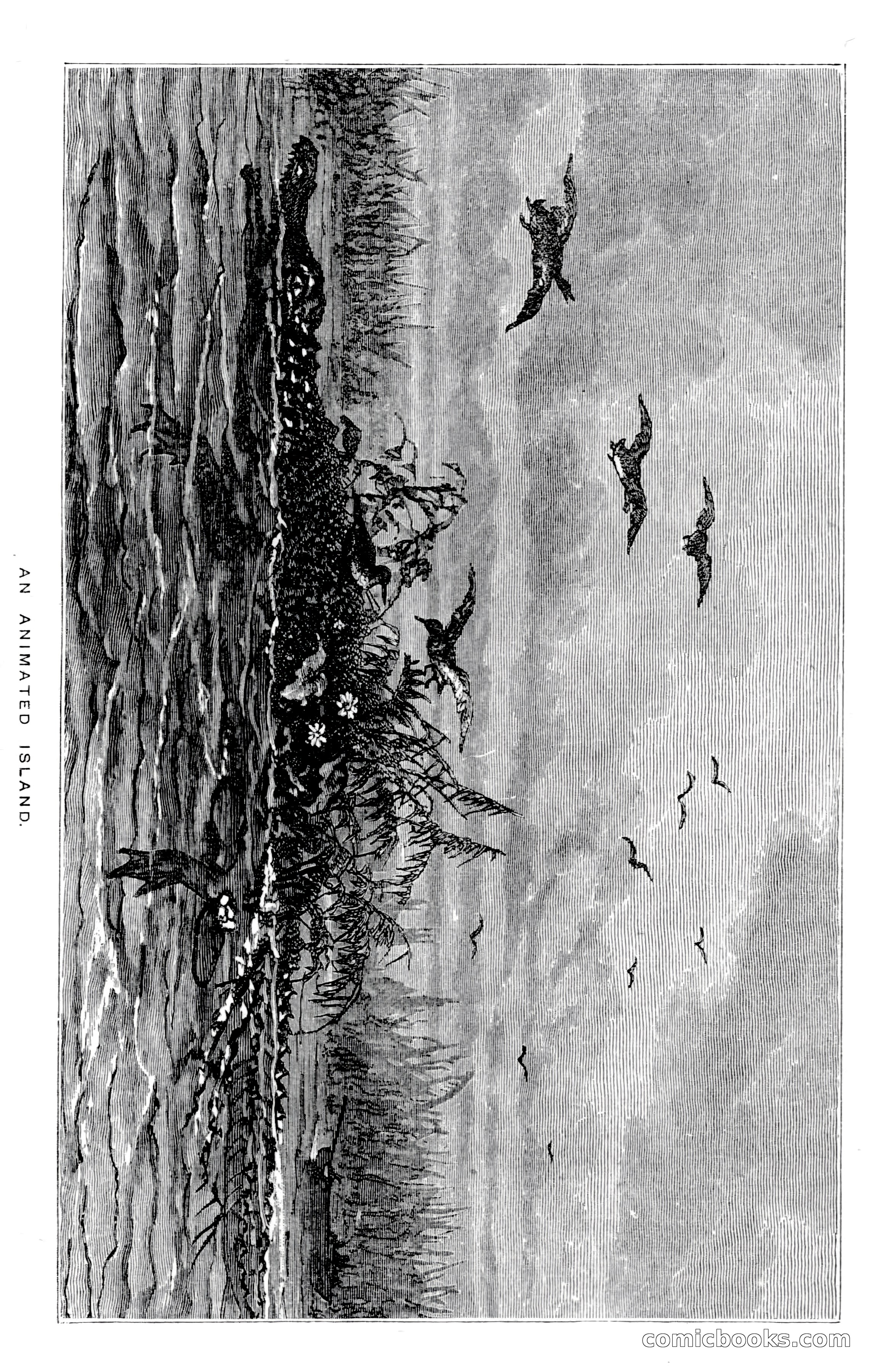 In the Wilds of Florida — page 189 of 400