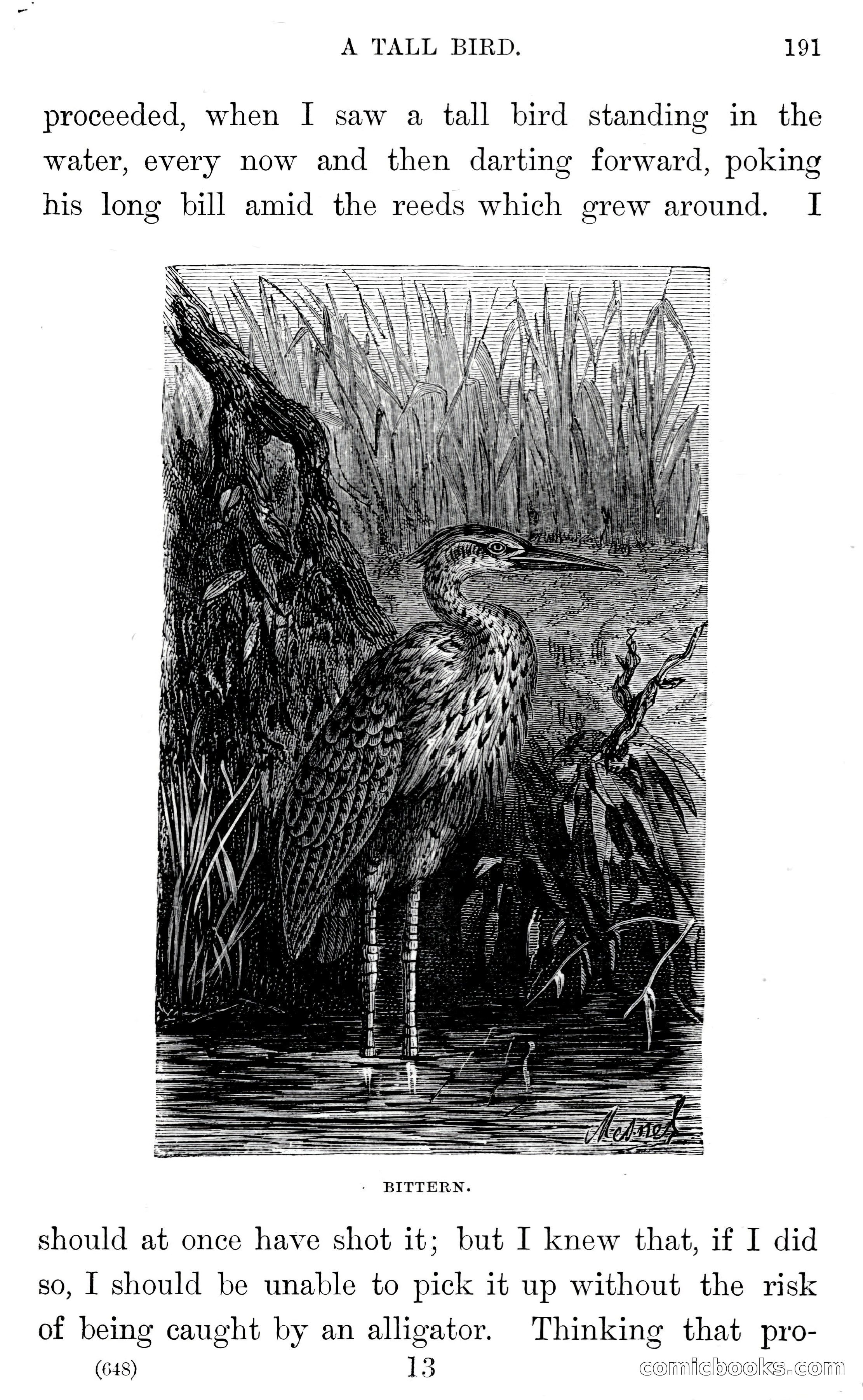 In the Wilds of Florida — page 193 of 400