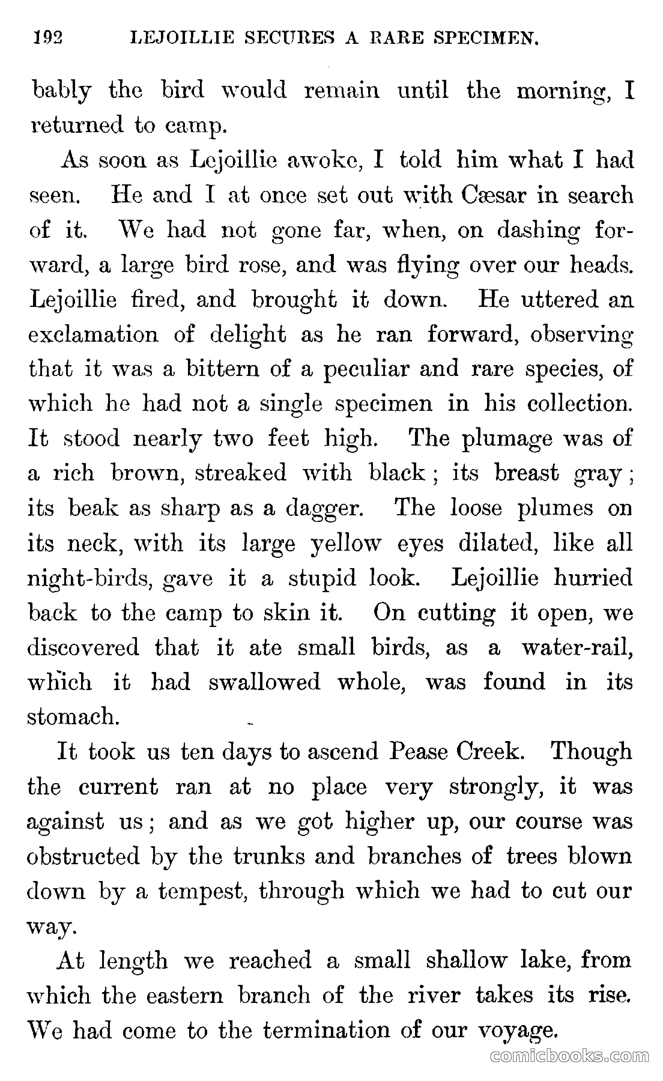 In the Wilds of Florida — page 194 of 400