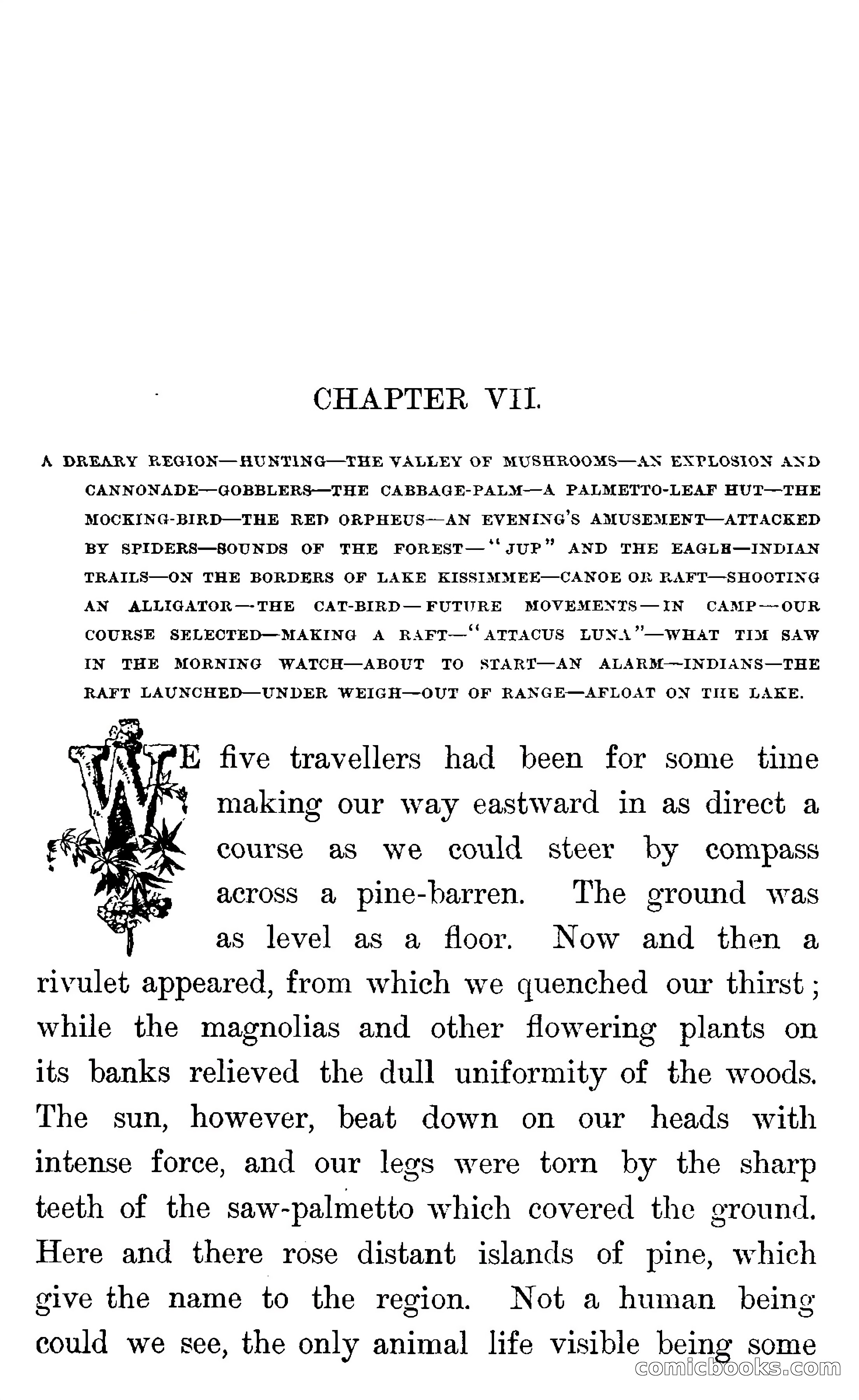 In the Wilds of Florida — page 197 of 400