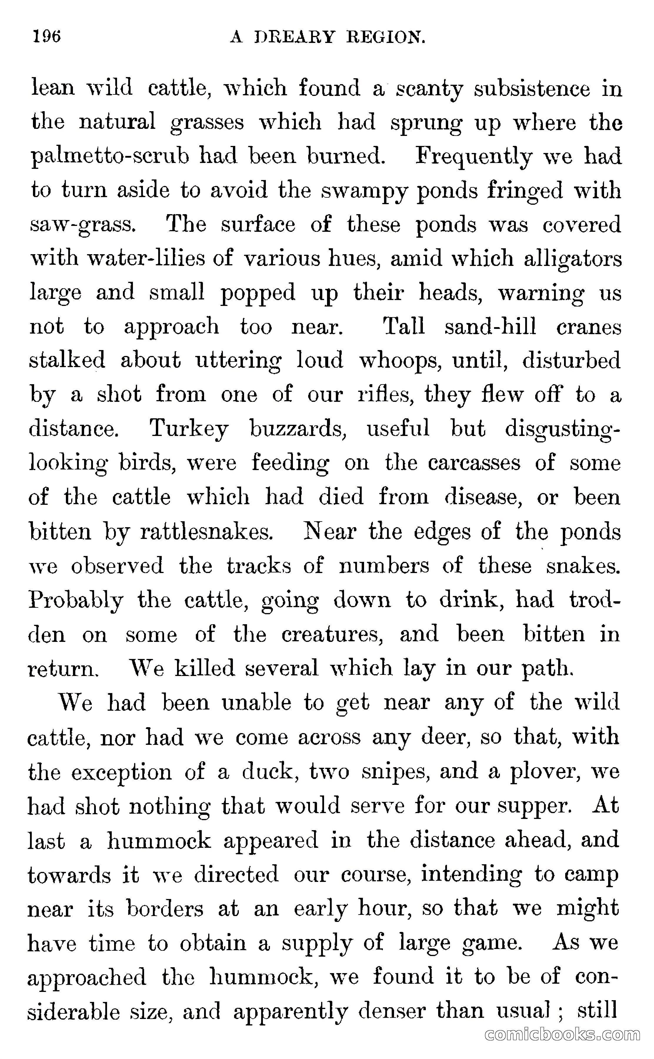 In the Wilds of Florida — page 198 of 400