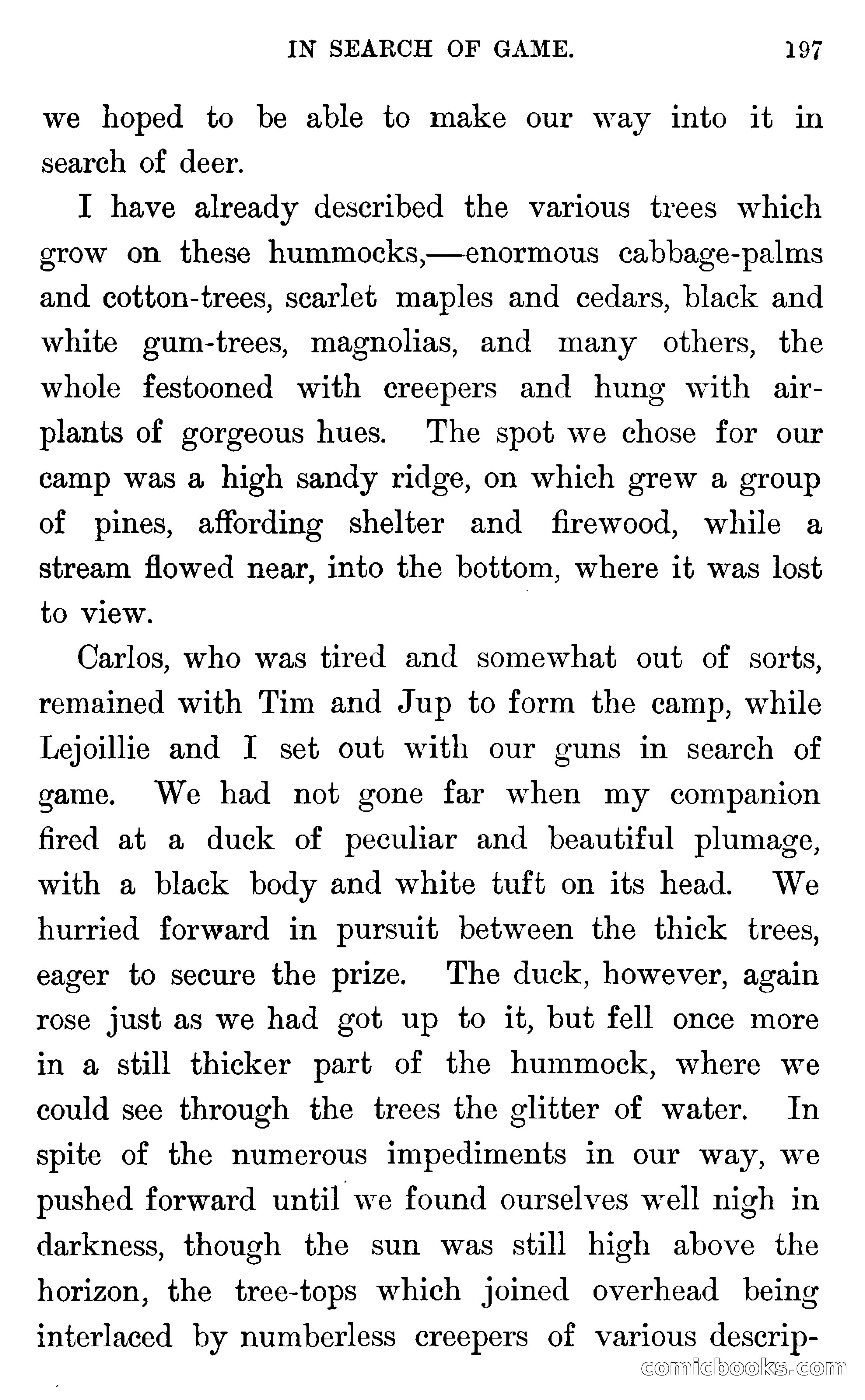 In the Wilds of Florida — page 199 of 400
