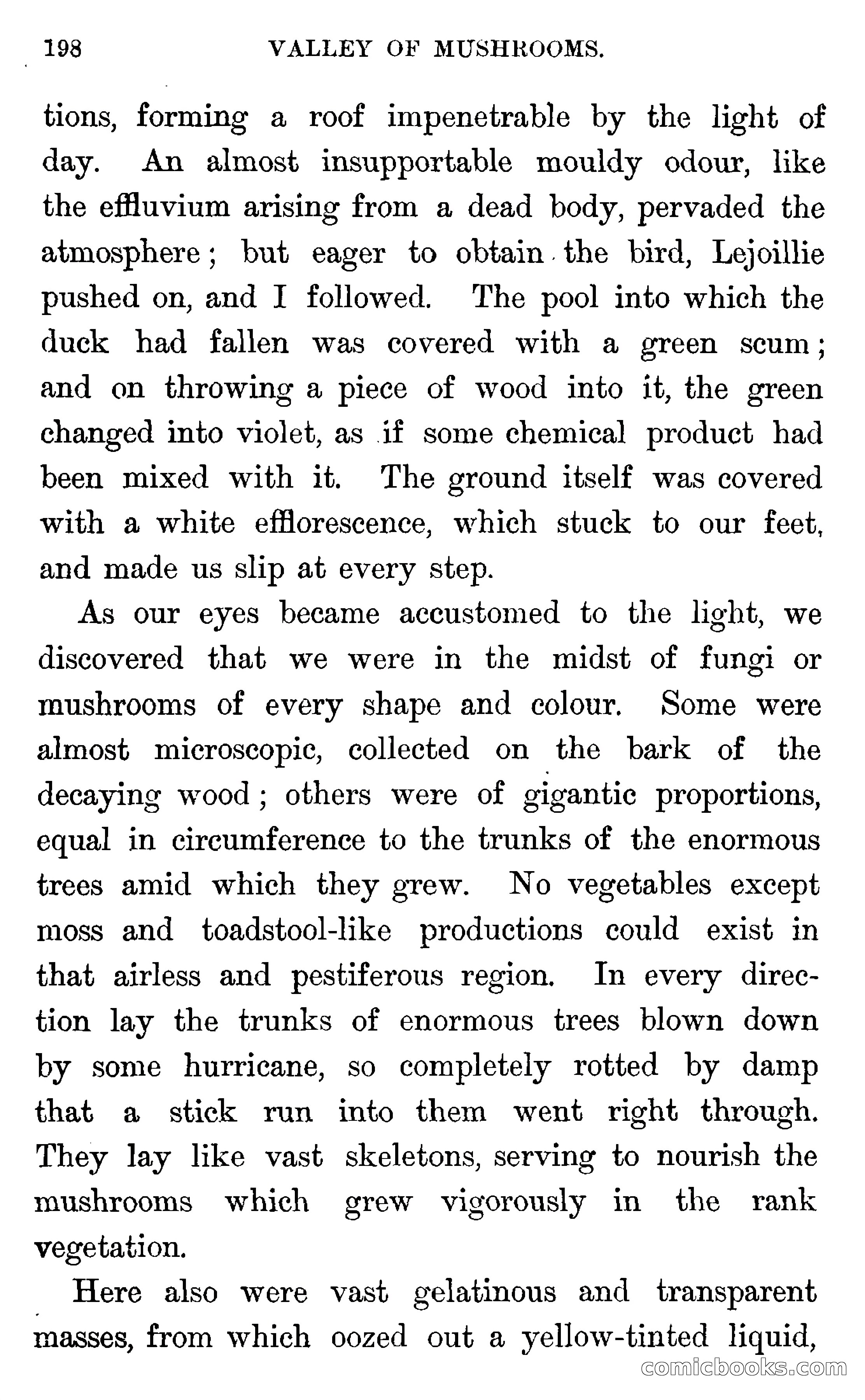In the Wilds of Florida — page 200 of 400