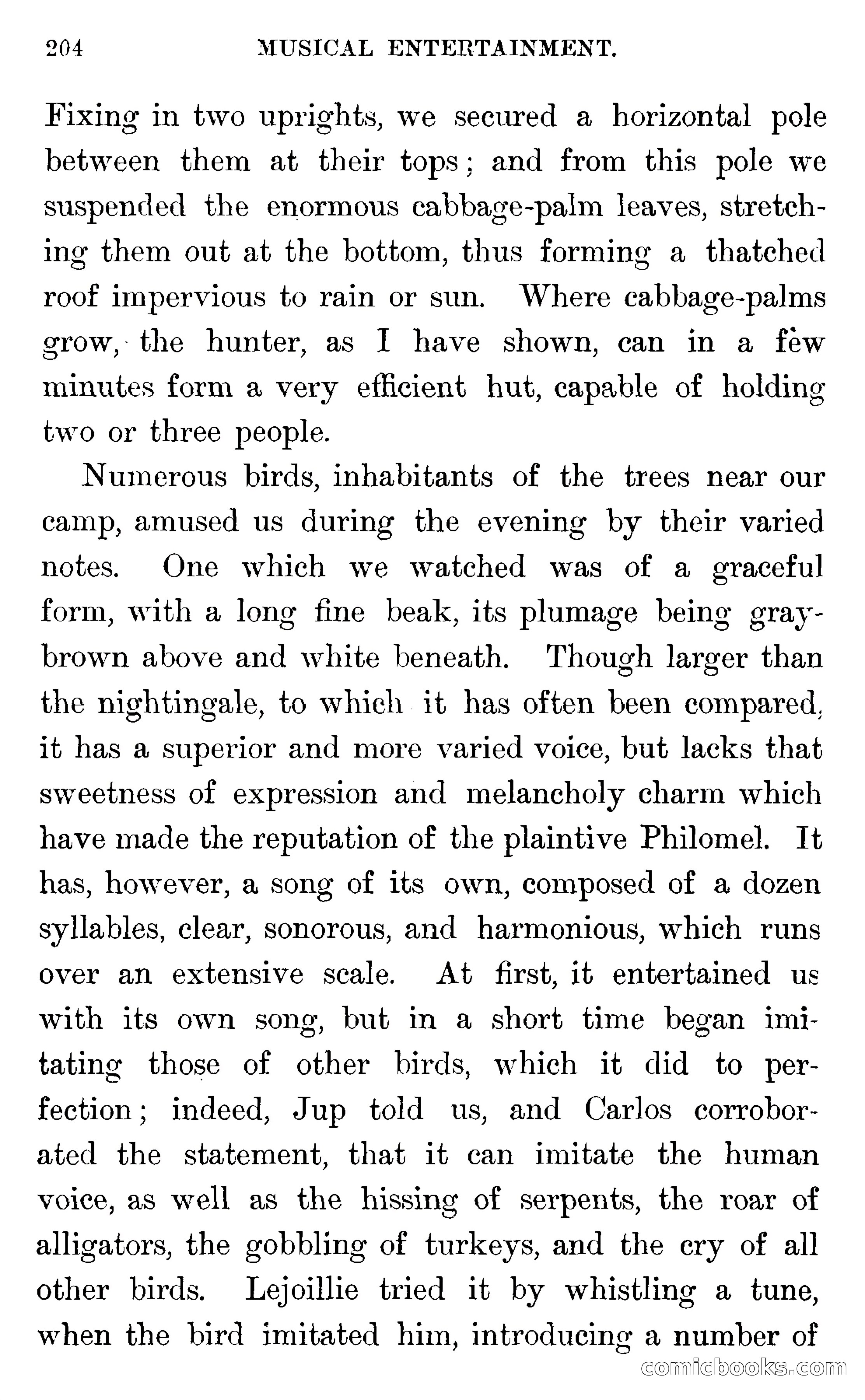In the Wilds of Florida — page 206 of 400