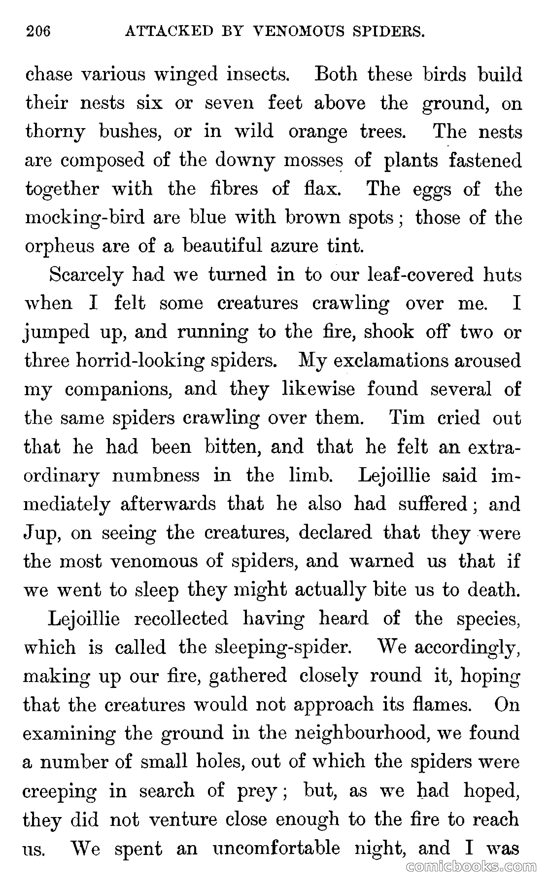 In the Wilds of Florida — page 208 of 400