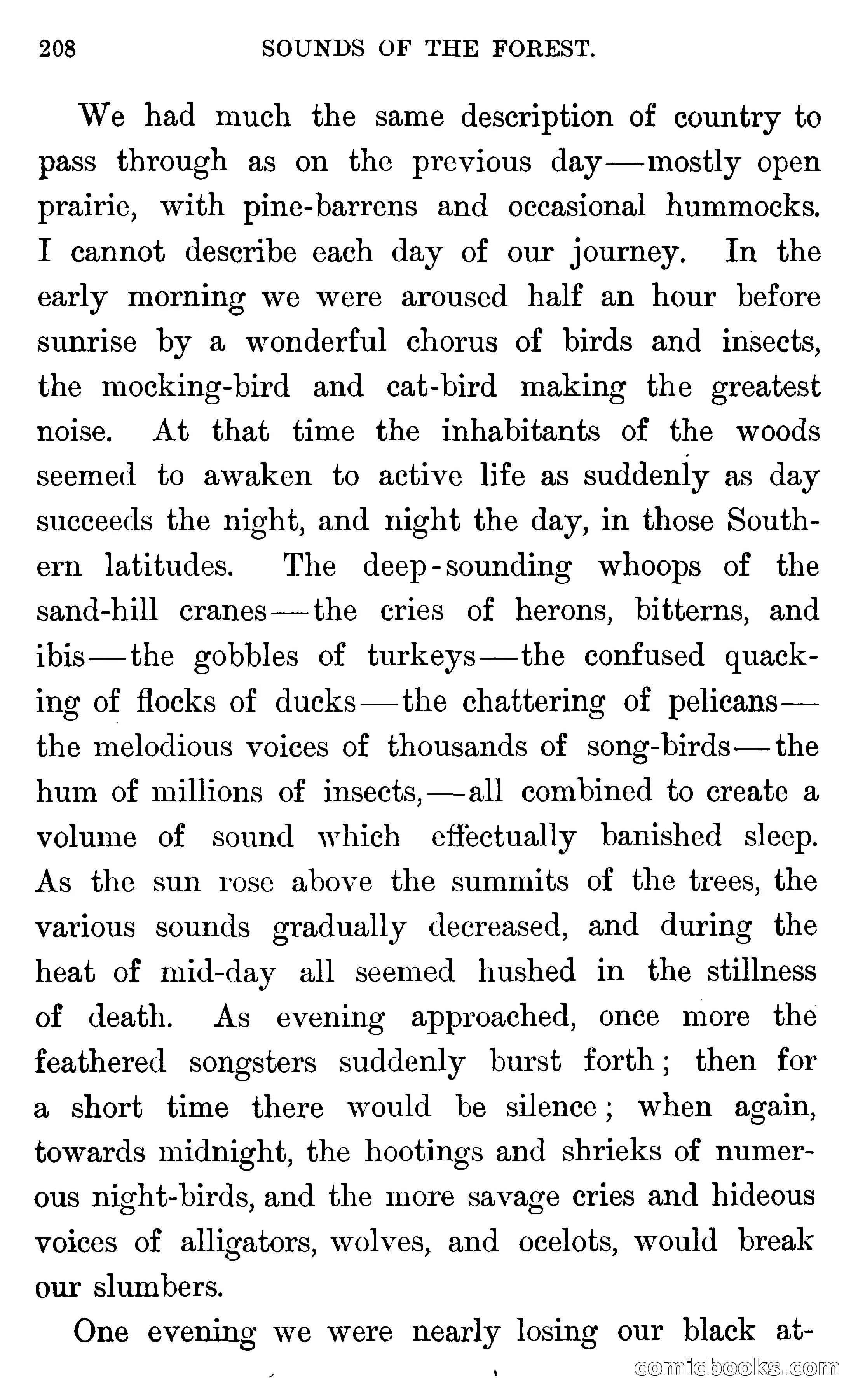 In the Wilds of Florida — page 210 of 400
