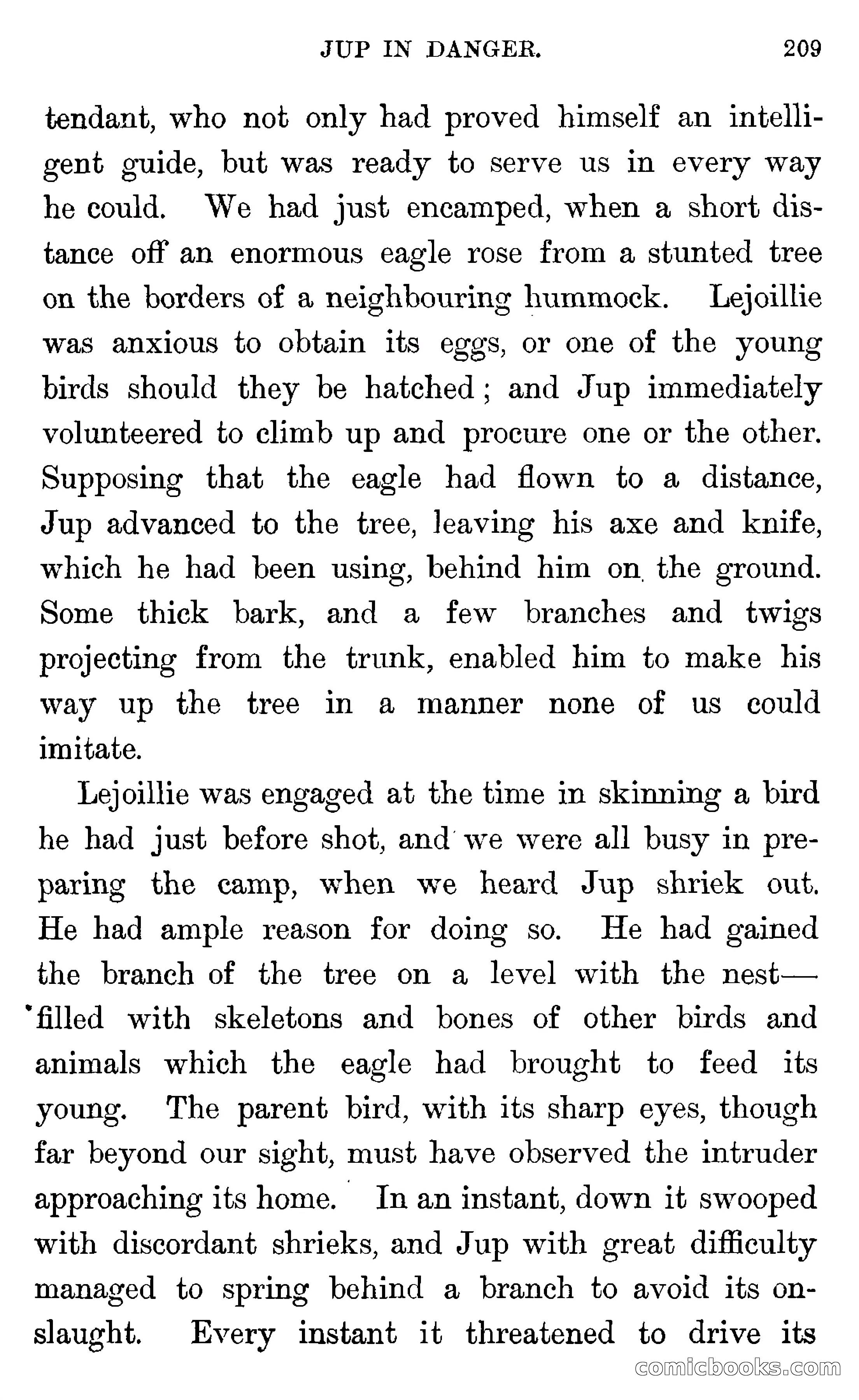 In the Wilds of Florida — page 211 of 400