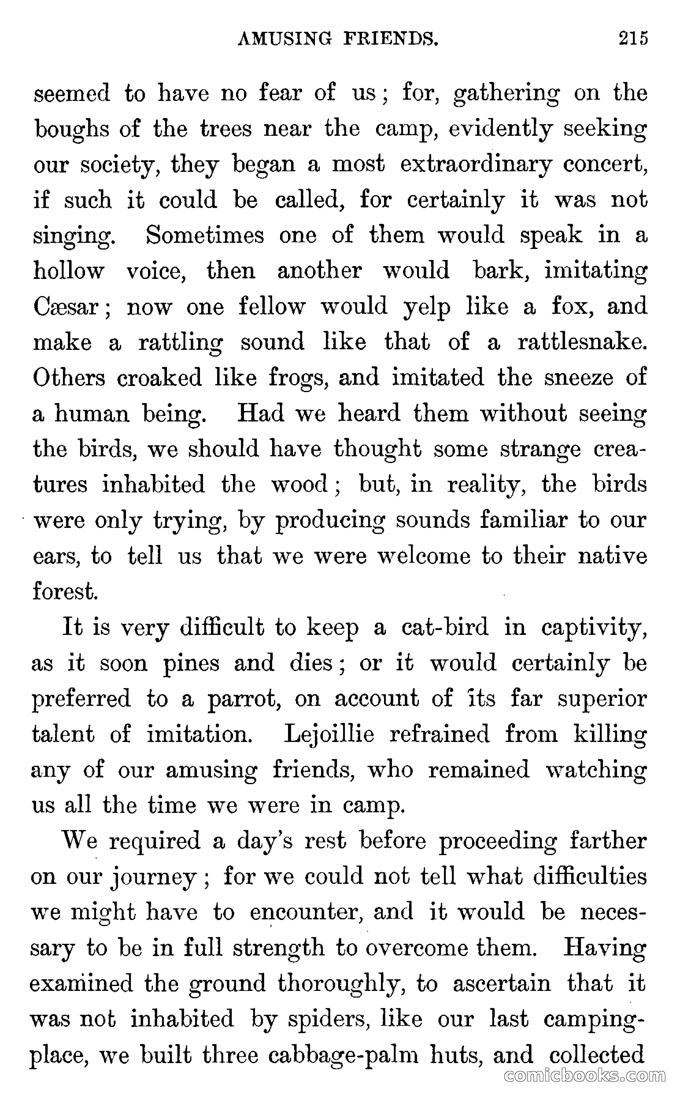 In the Wilds of Florida — page 217 of 400