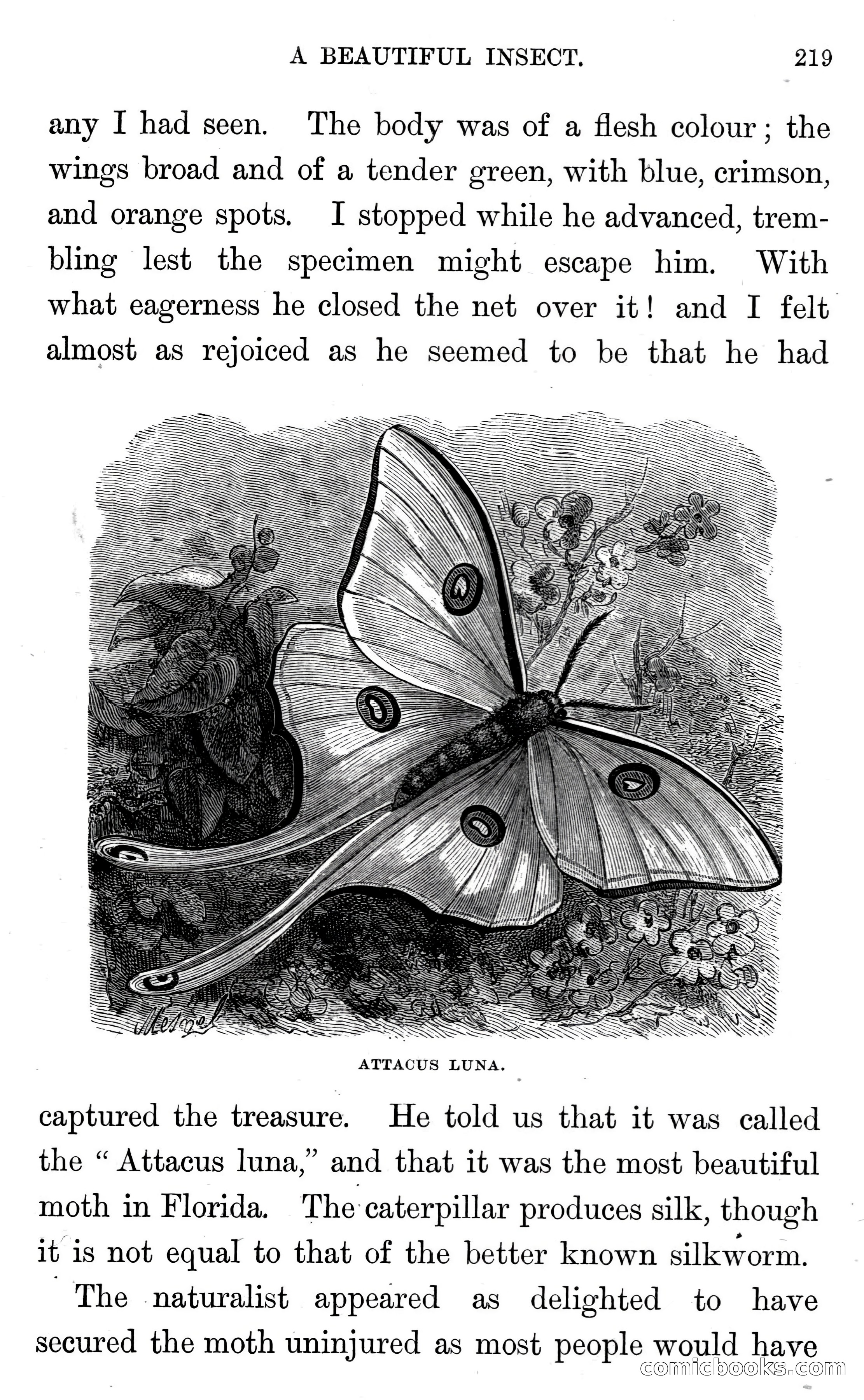 In the Wilds of Florida — page 221 of 400