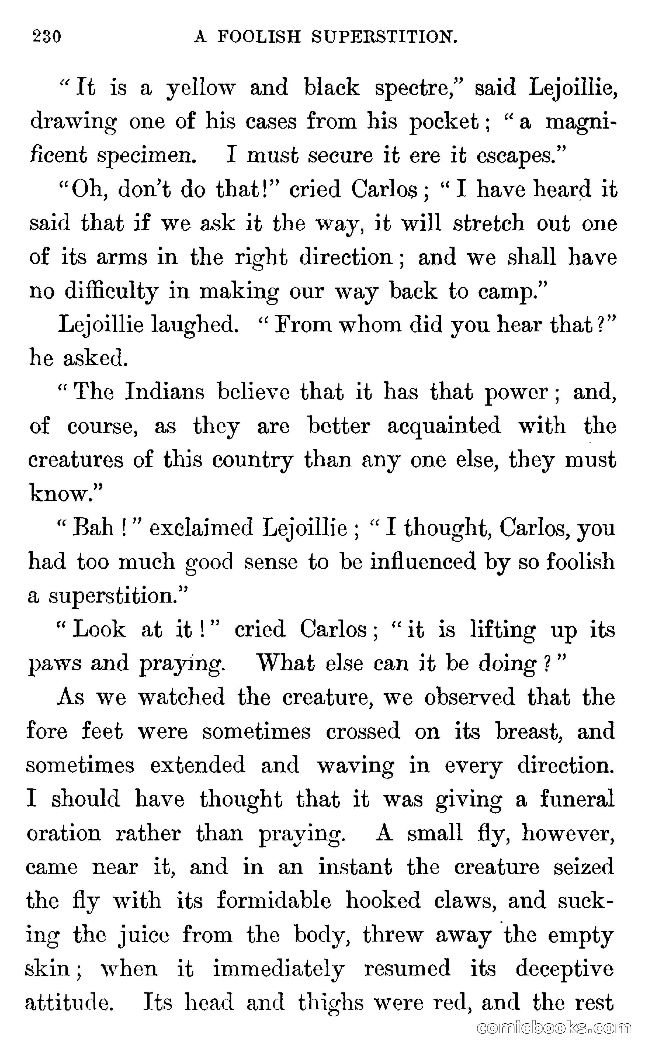 In the Wilds of Florida — page 232 of 400