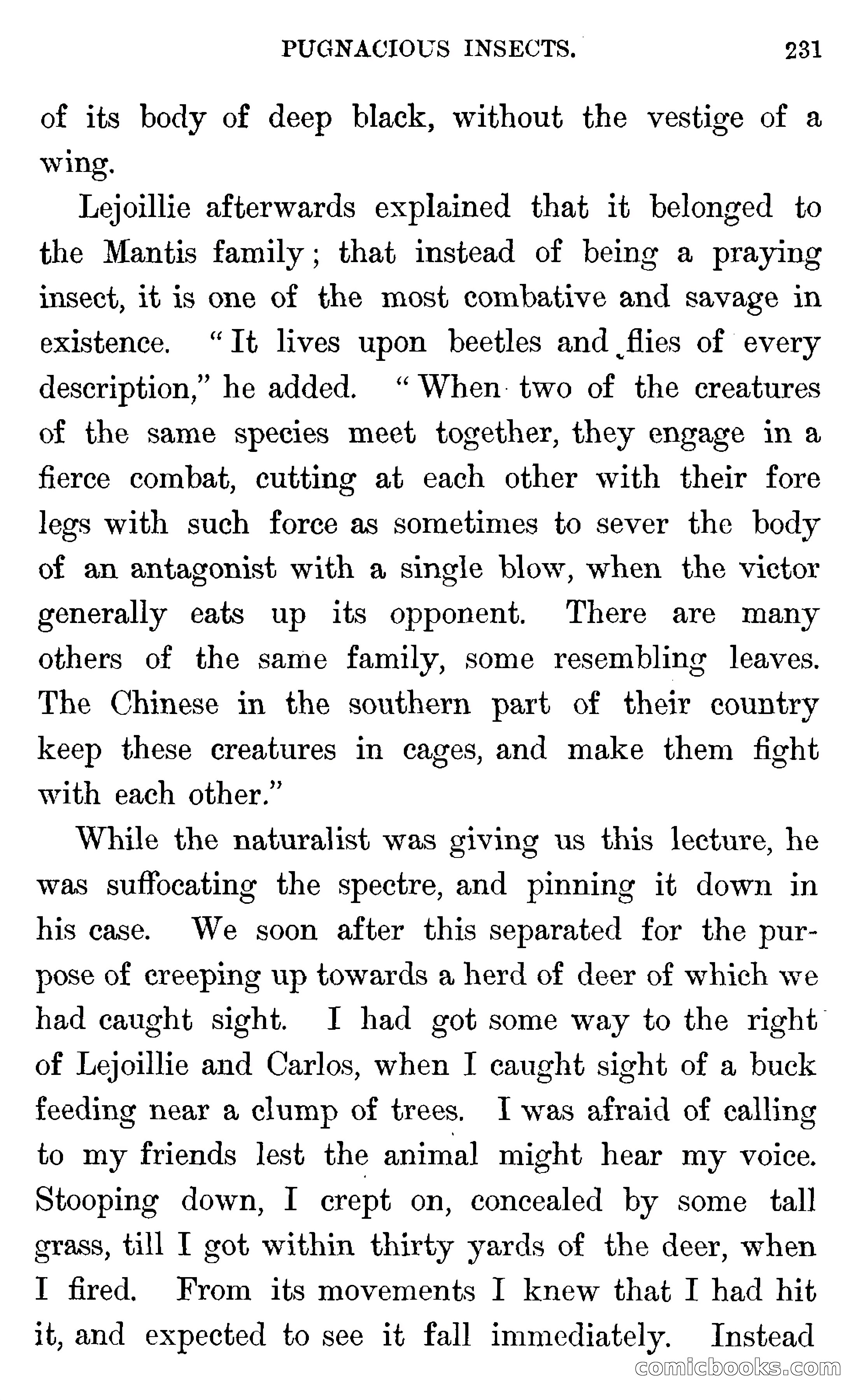 In the Wilds of Florida — page 233 of 400