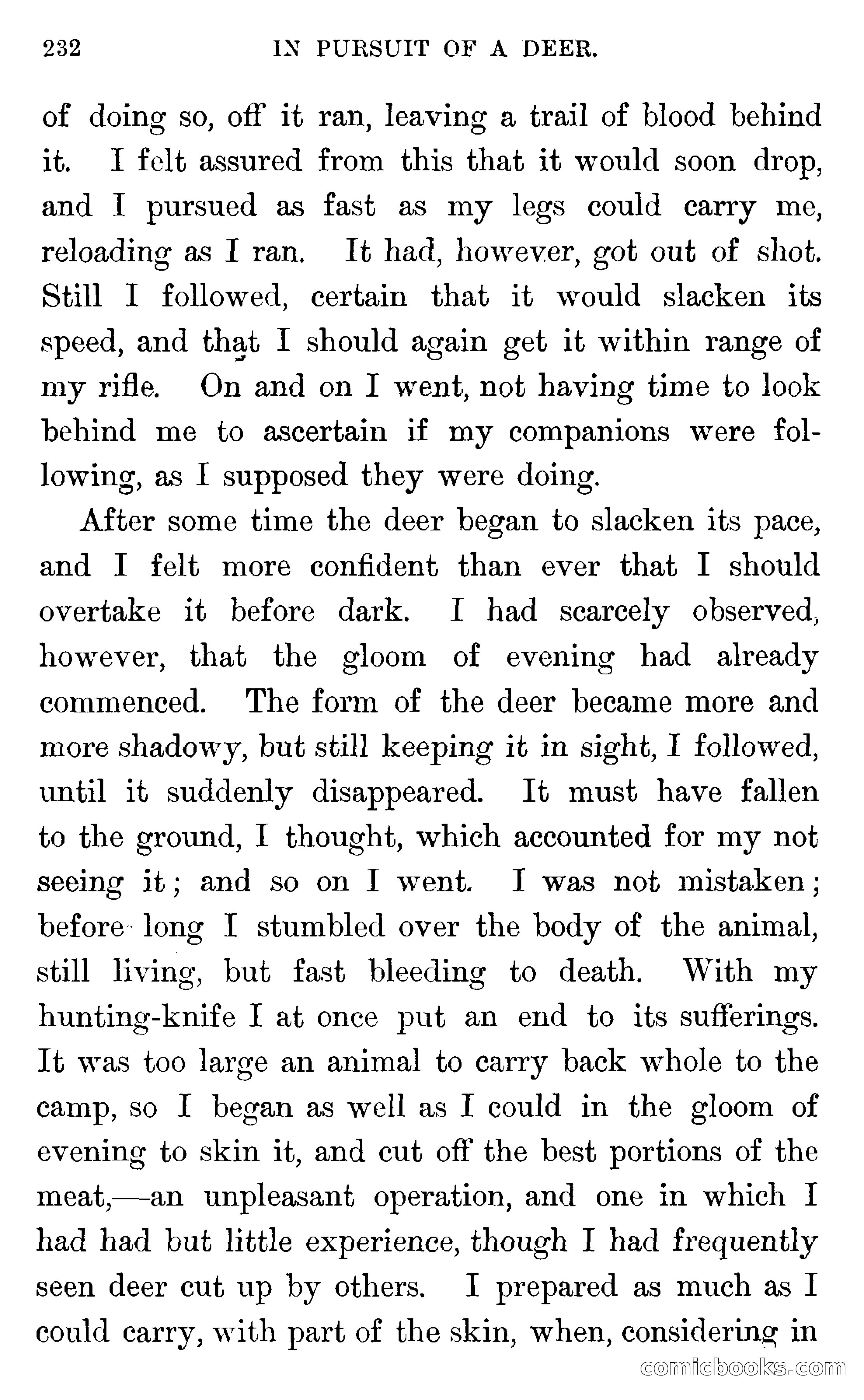 In the Wilds of Florida — page 234 of 400