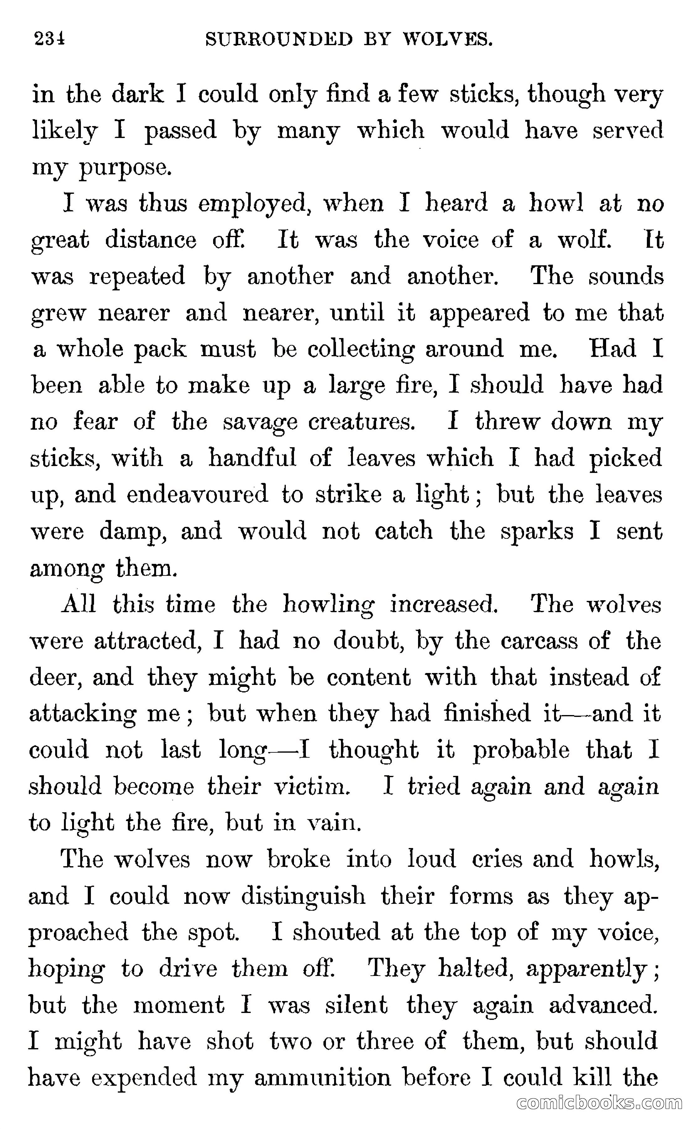 In the Wilds of Florida — page 236 of 400