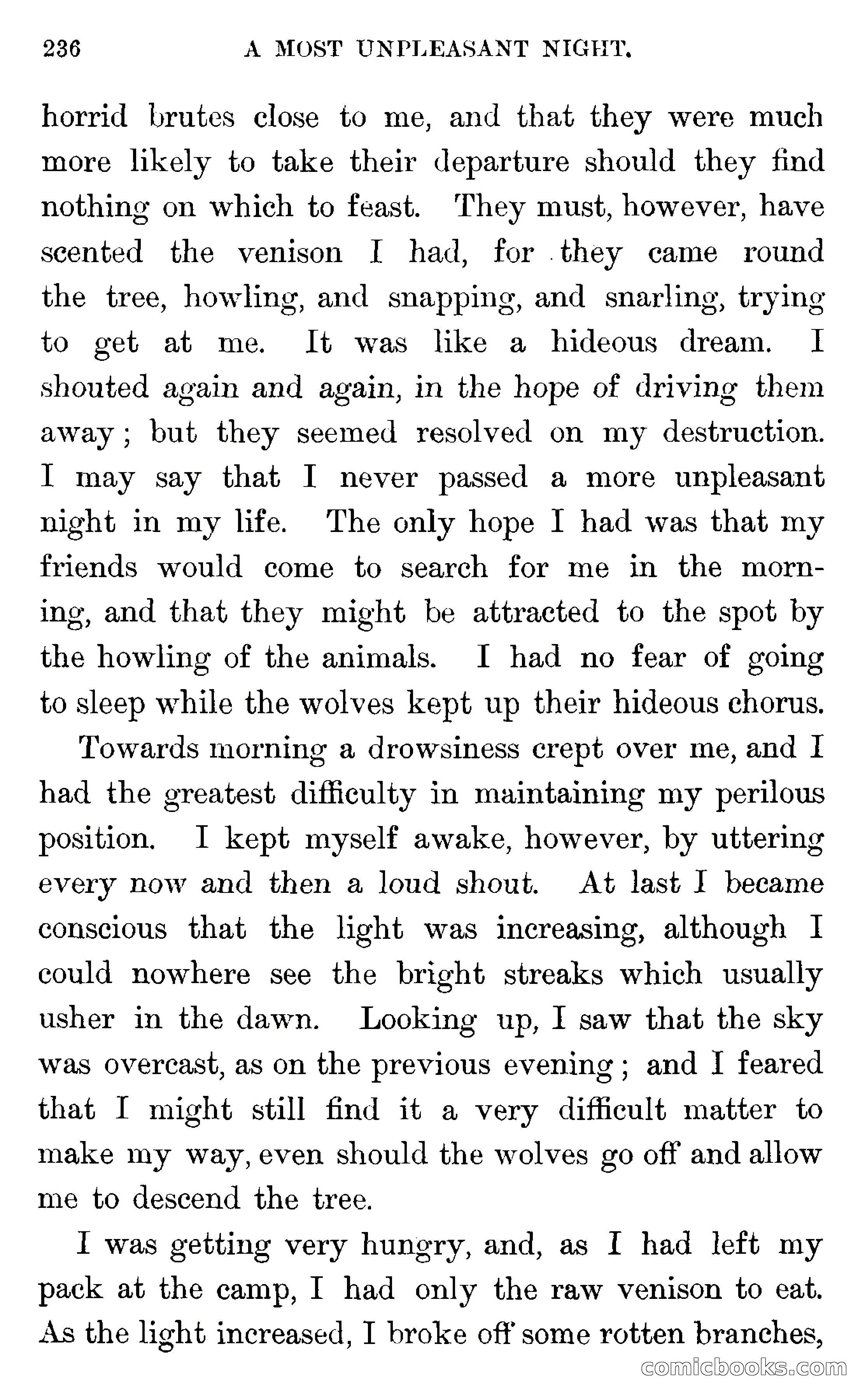 In the Wilds of Florida — page 238 of 400