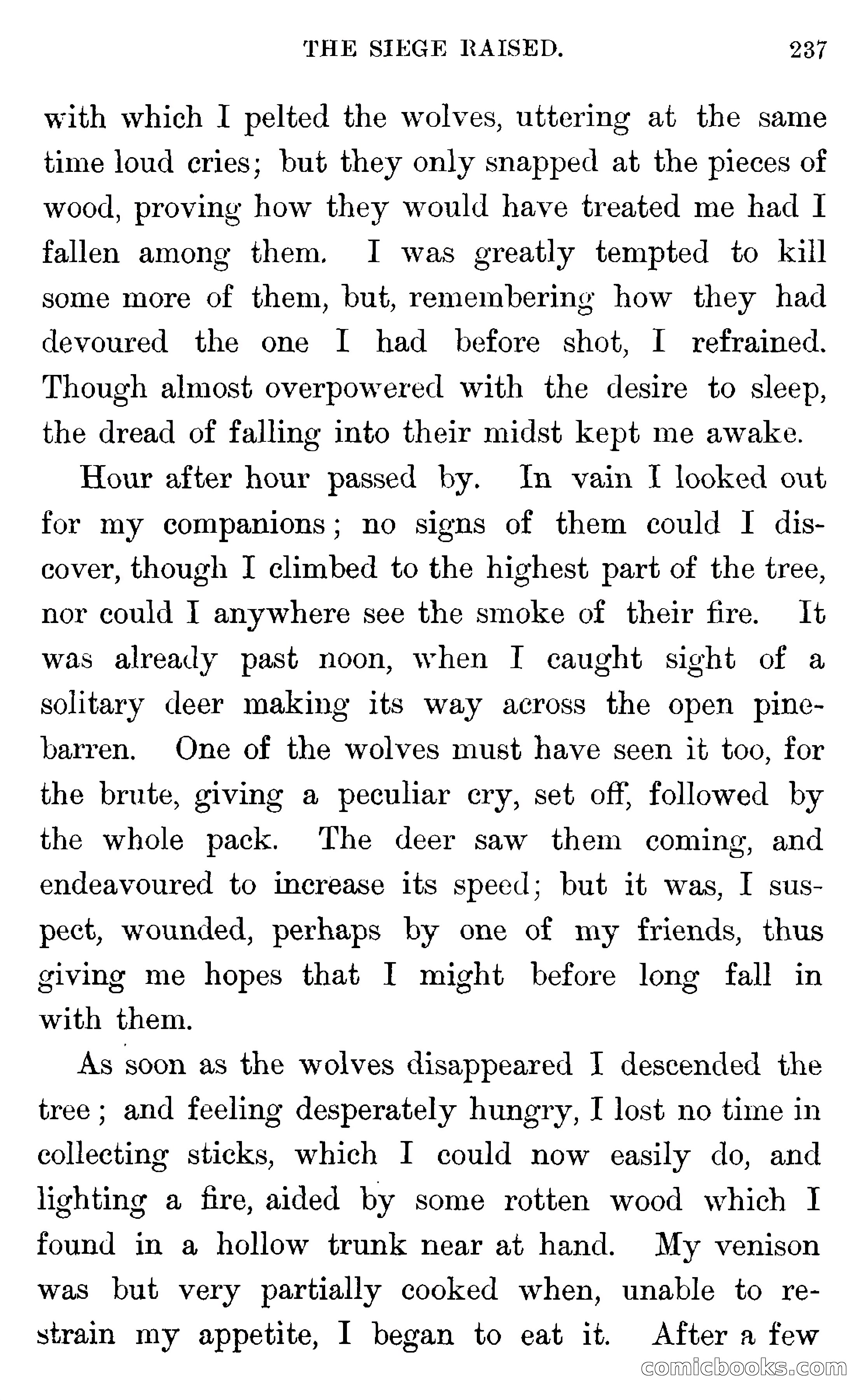 In the Wilds of Florida — page 239 of 400