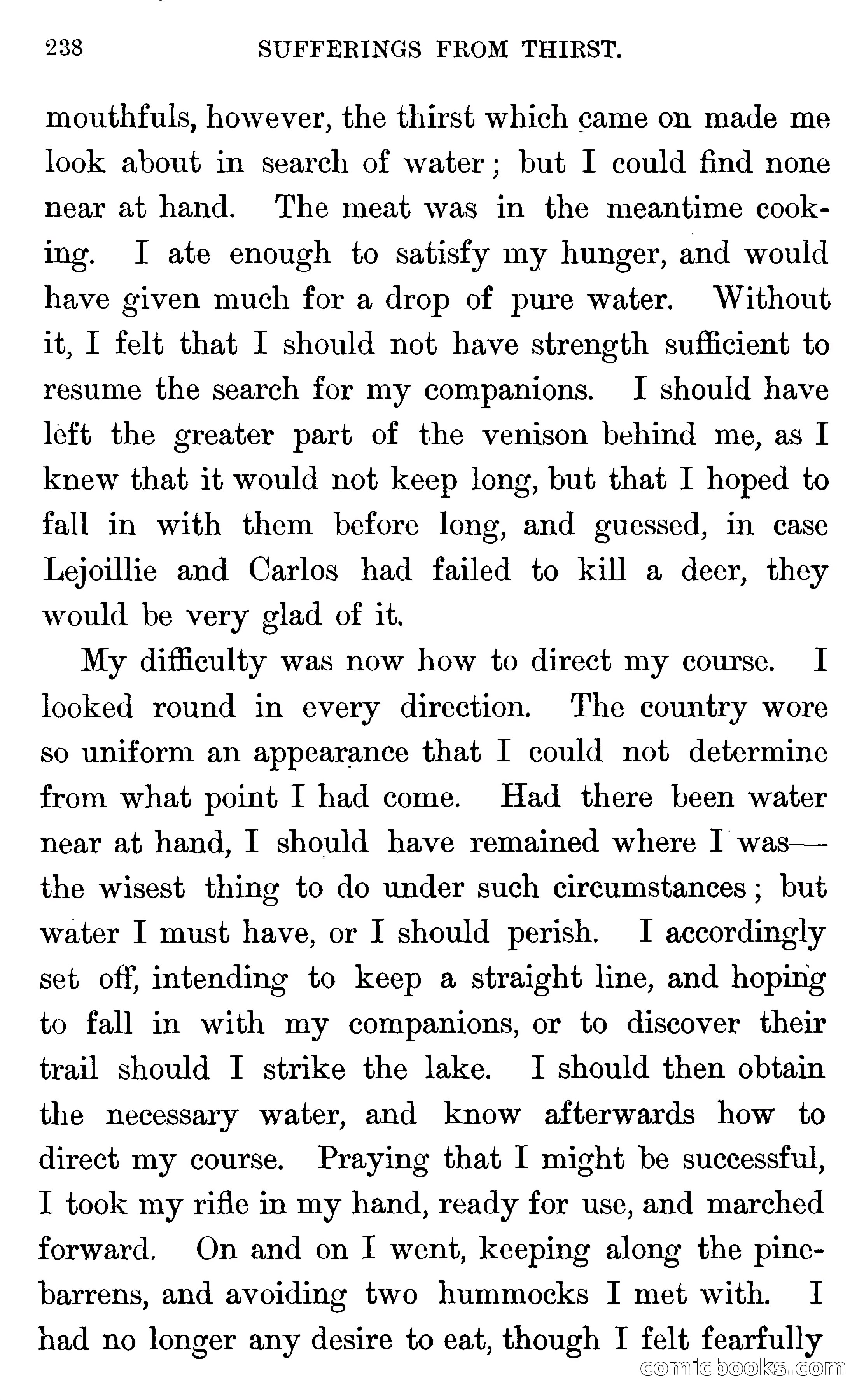 In the Wilds of Florida — page 240 of 400