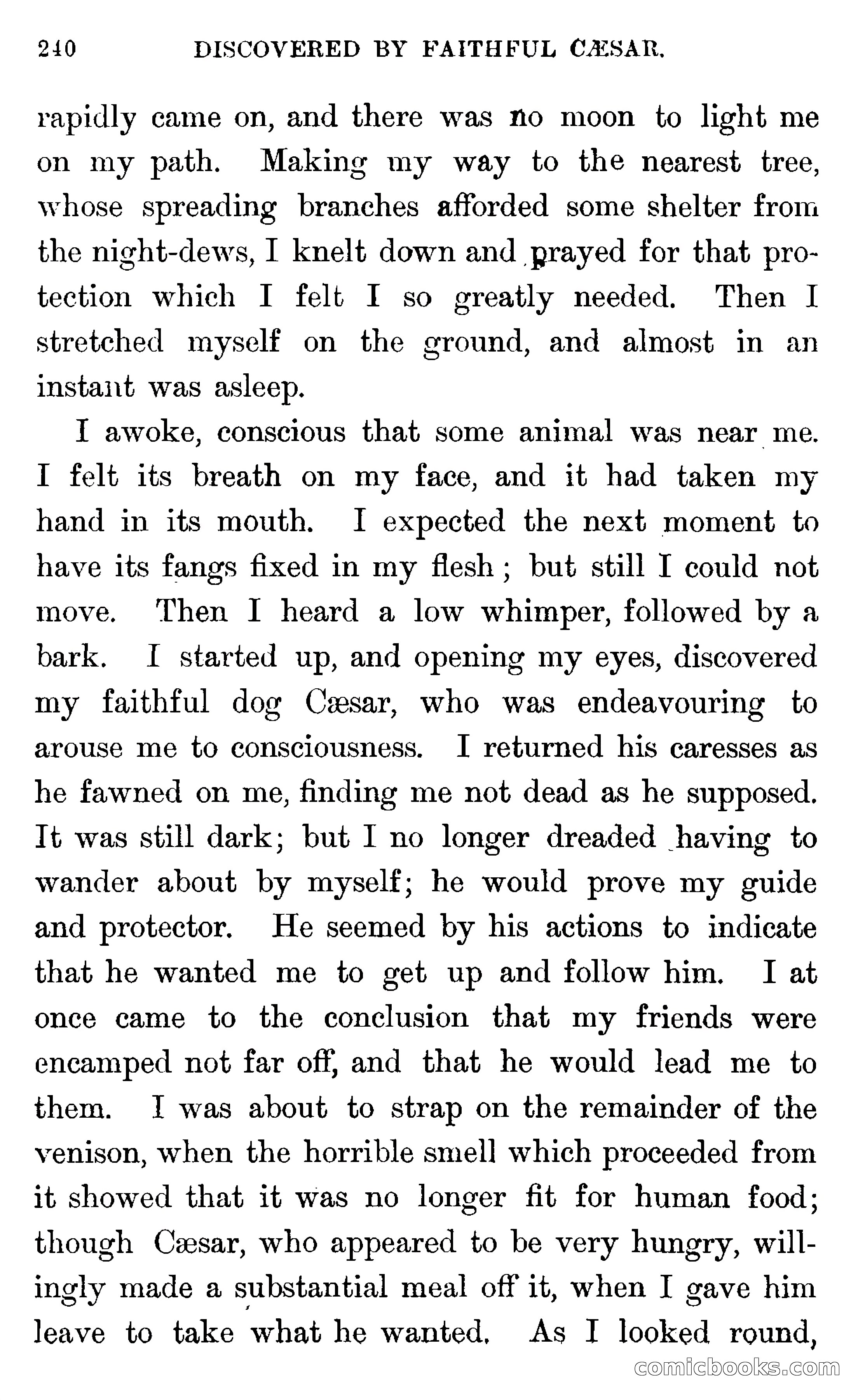 In the Wilds of Florida — page 242 of 400