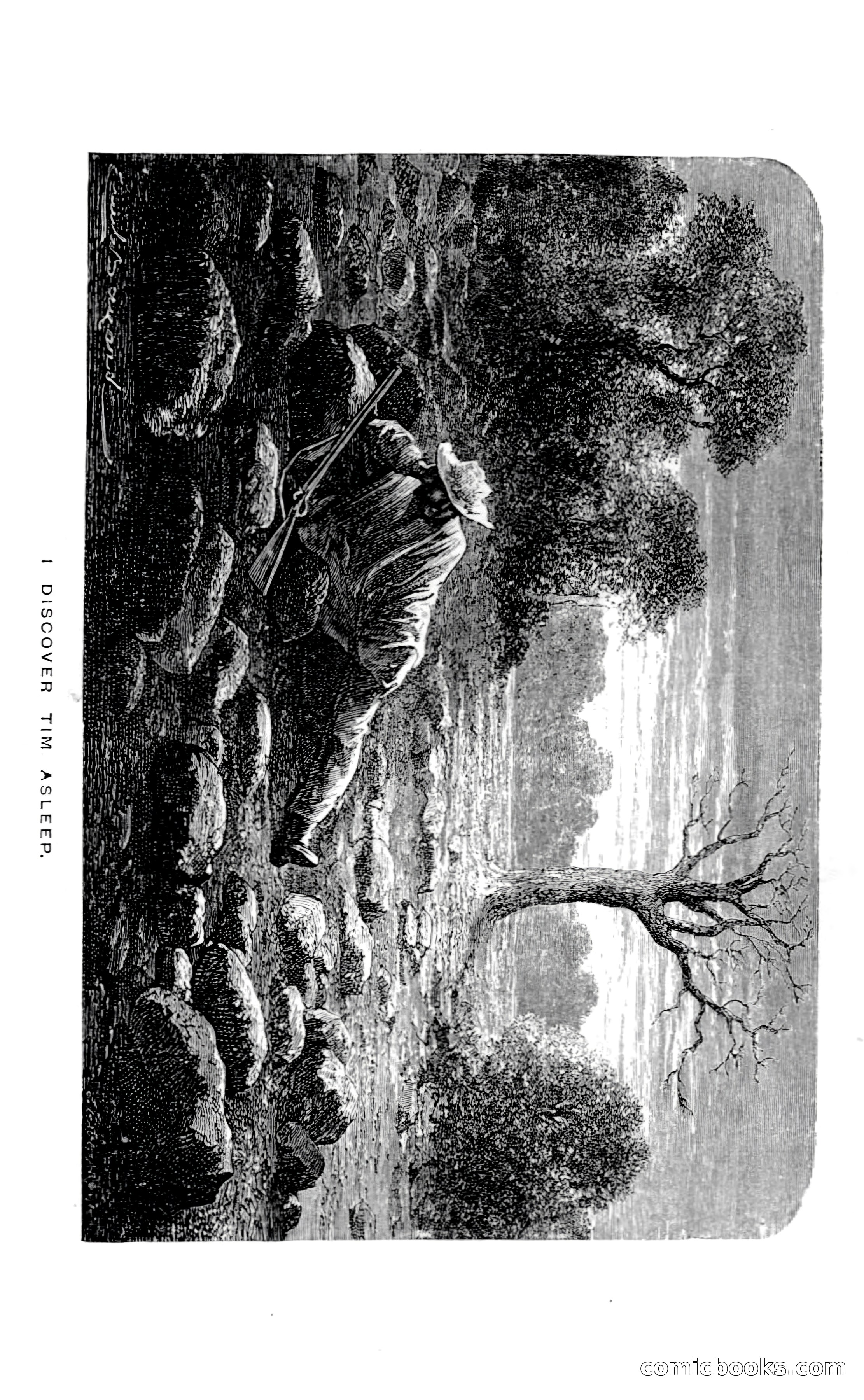 In the Wilds of Florida — page 243 of 400