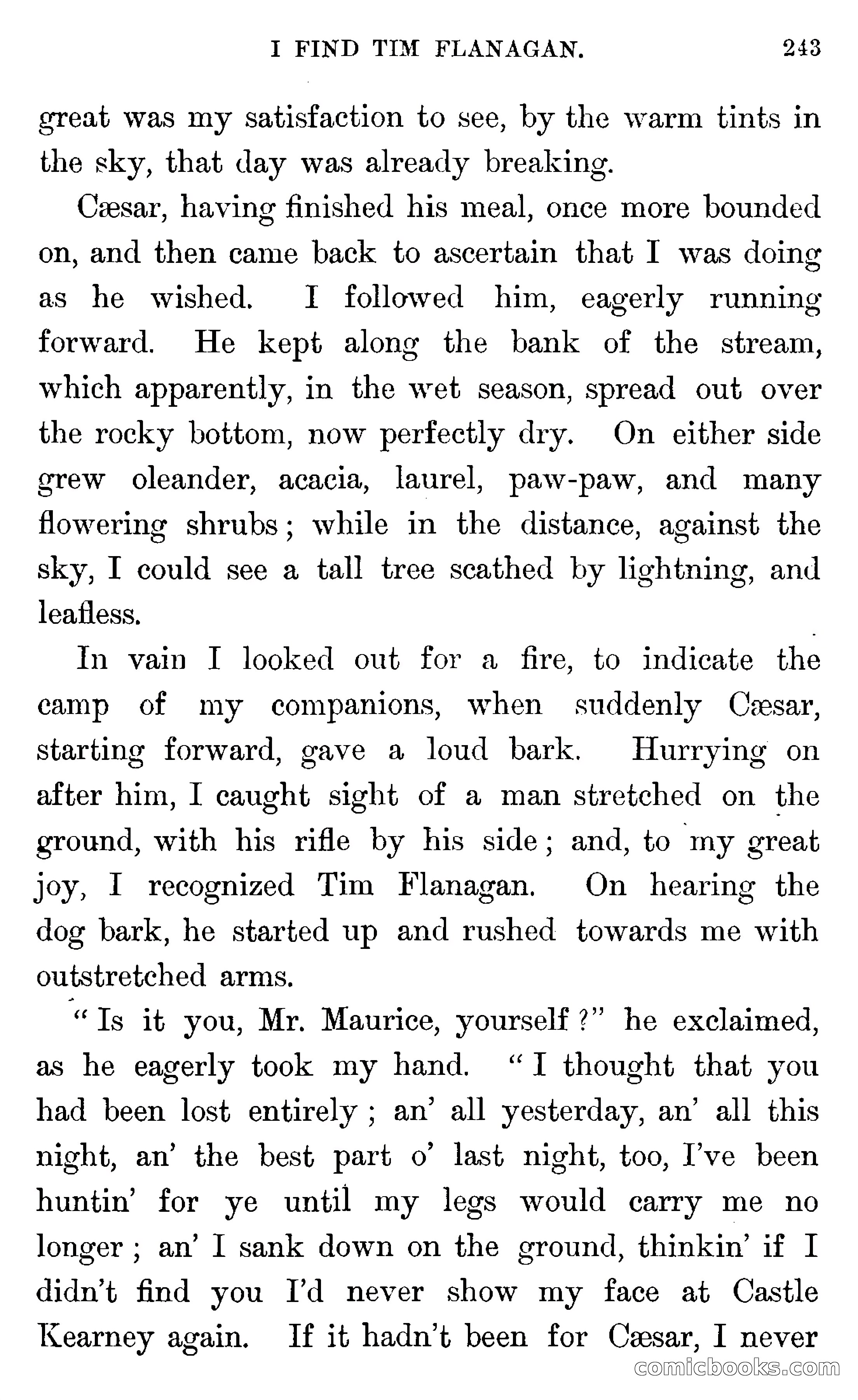 In the Wilds of Florida — page 245 of 400