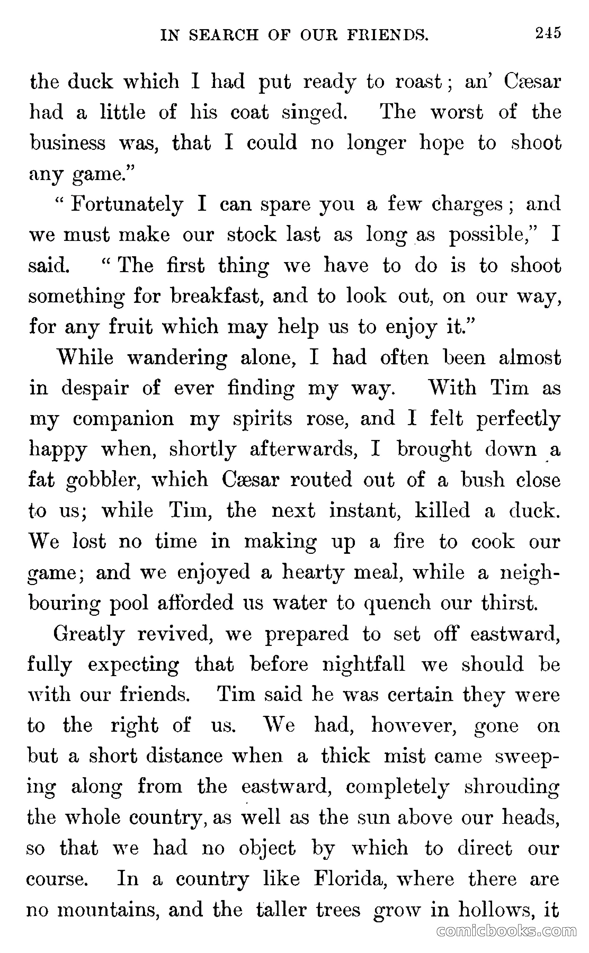 In the Wilds of Florida — page 247 of 400