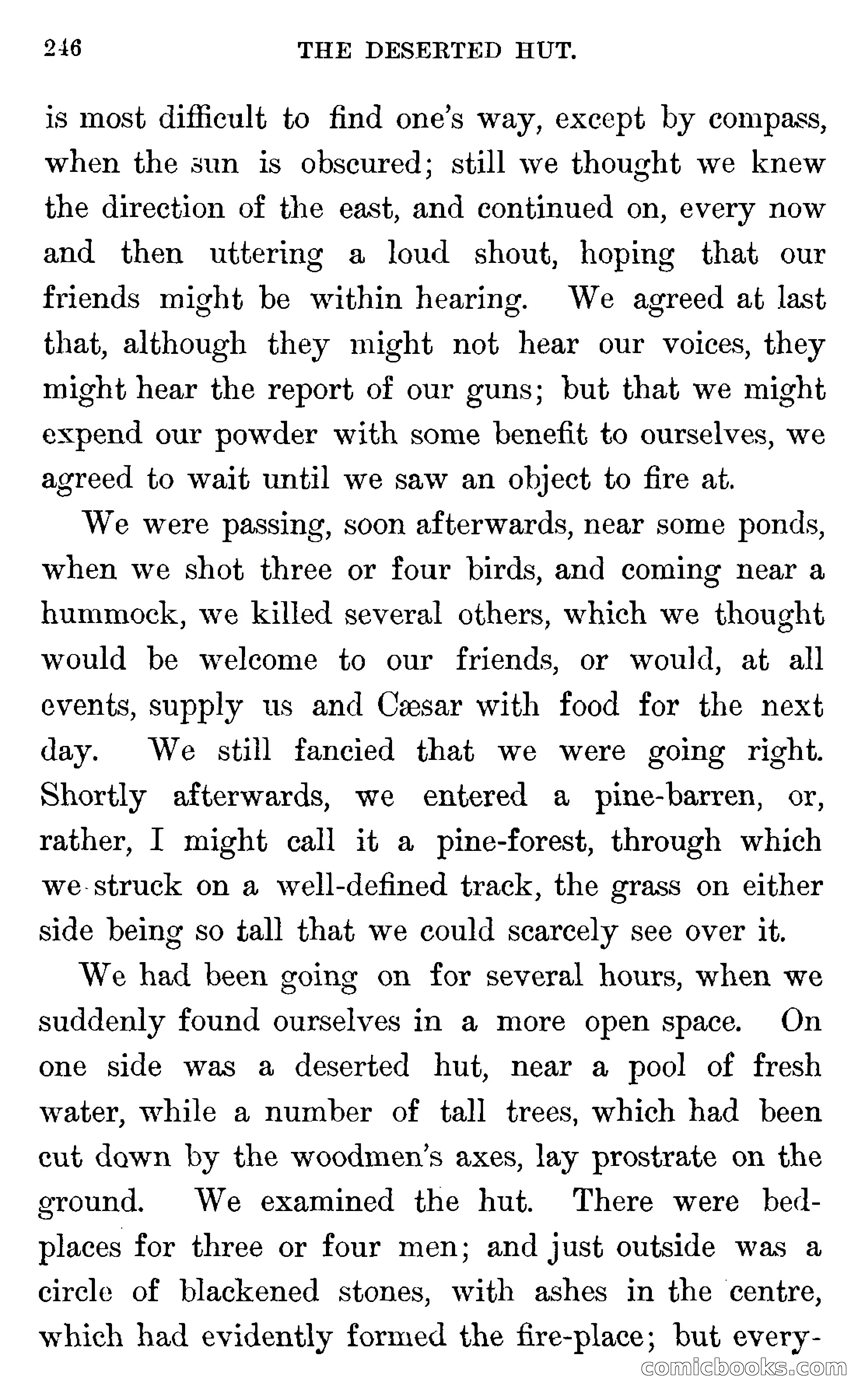 In the Wilds of Florida — page 248 of 400