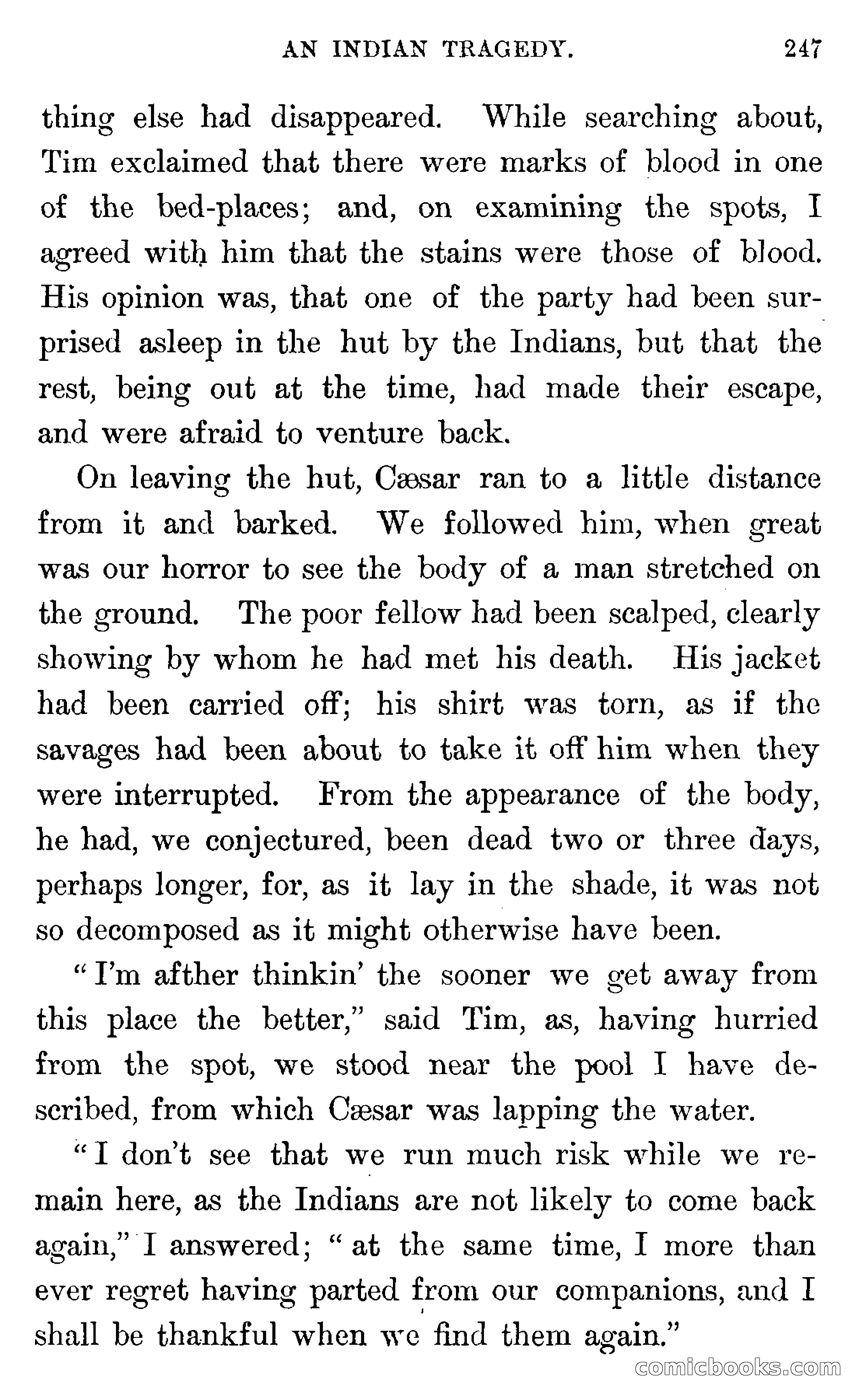 In the Wilds of Florida — page 249 of 400