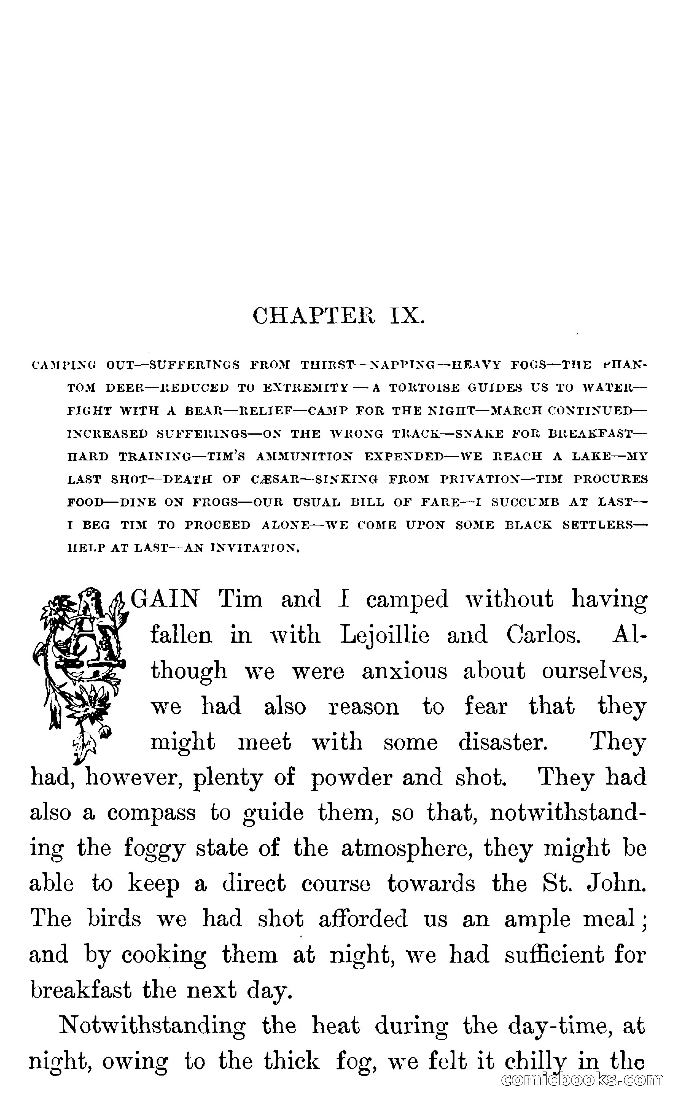 In the Wilds of Florida — page 251 of 400