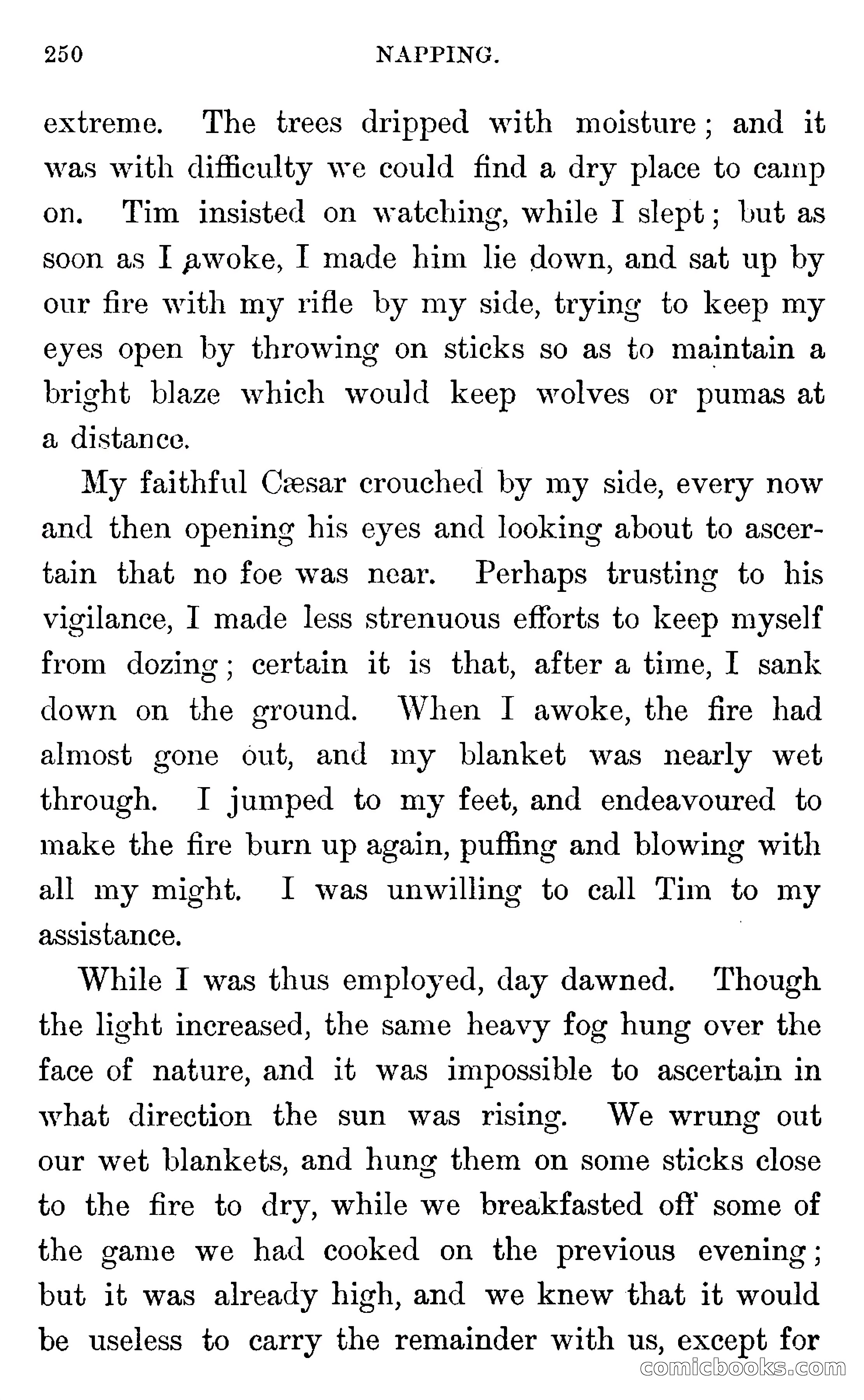 In the Wilds of Florida — page 252 of 400