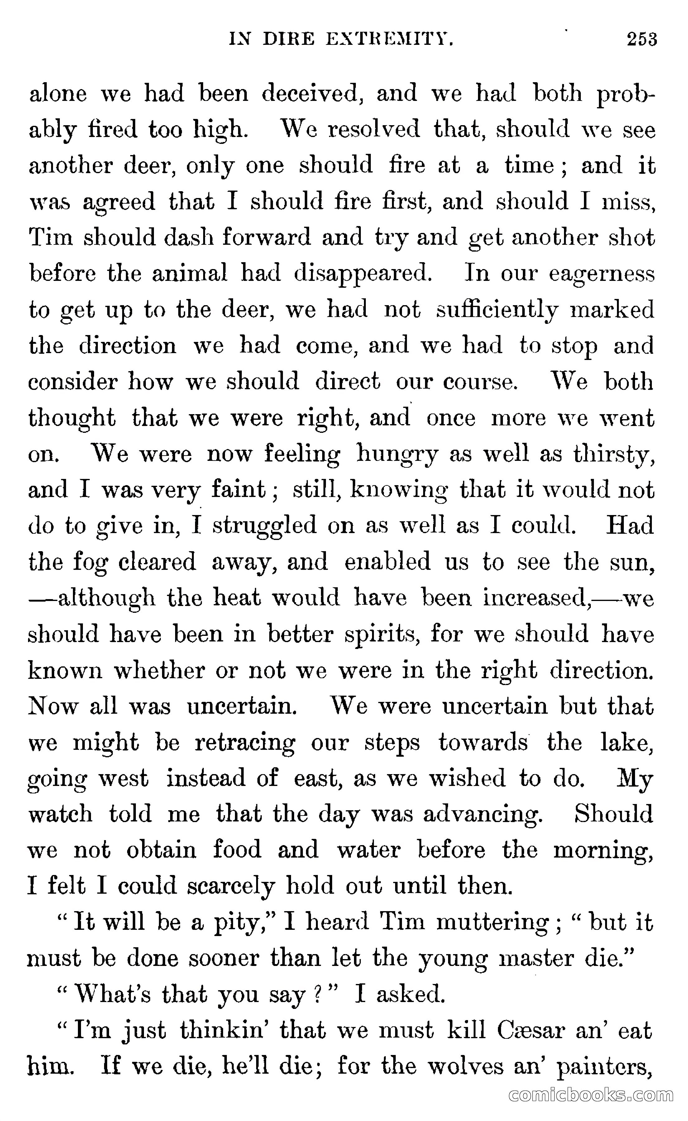 In the Wilds of Florida — page 255 of 400