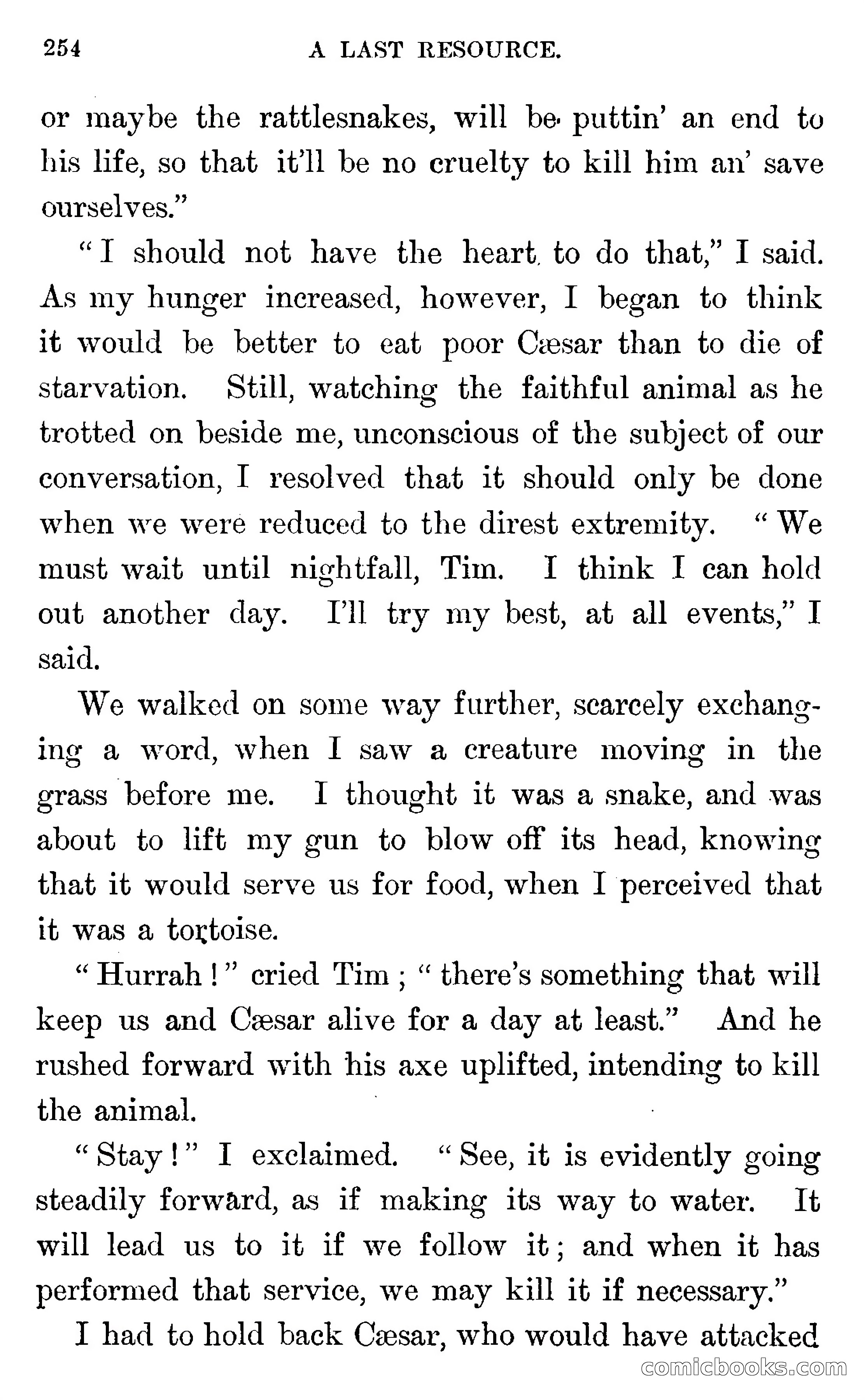 In the Wilds of Florida — page 256 of 400