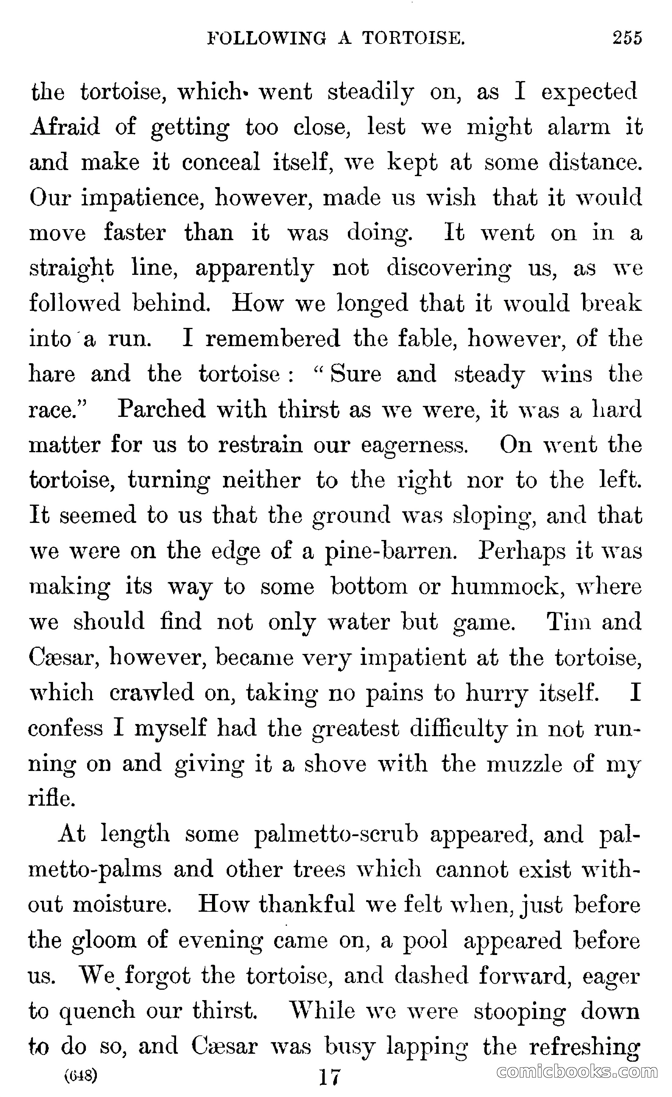 In the Wilds of Florida — page 257 of 400