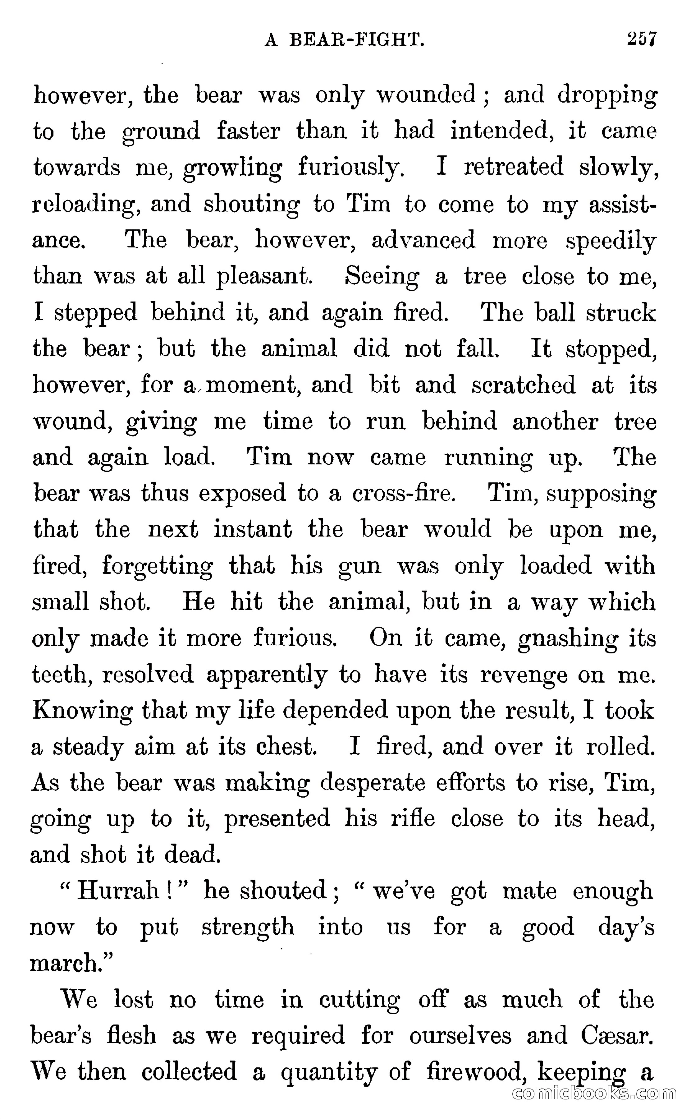 In the Wilds of Florida — page 259 of 400