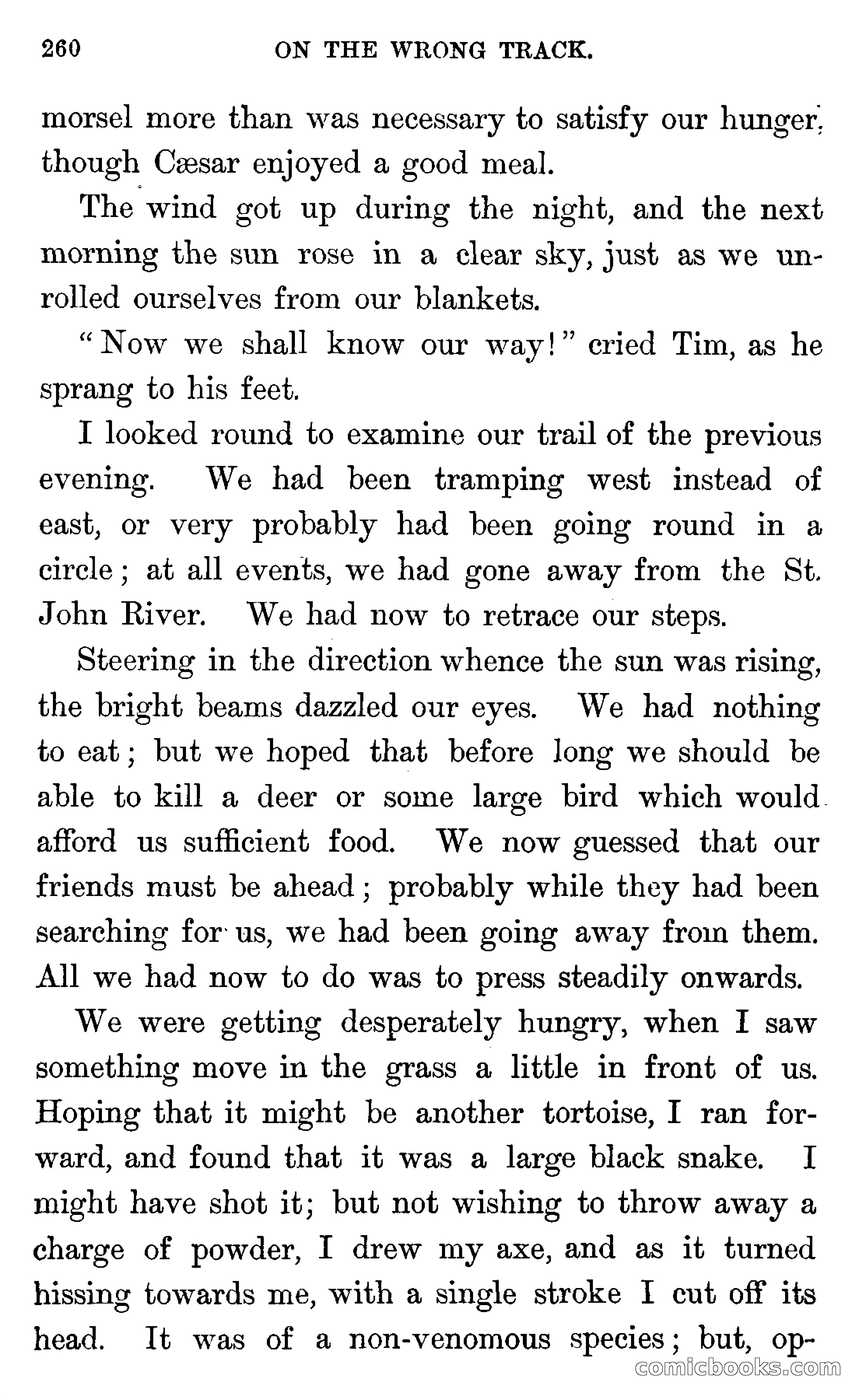 In the Wilds of Florida — page 262 of 400