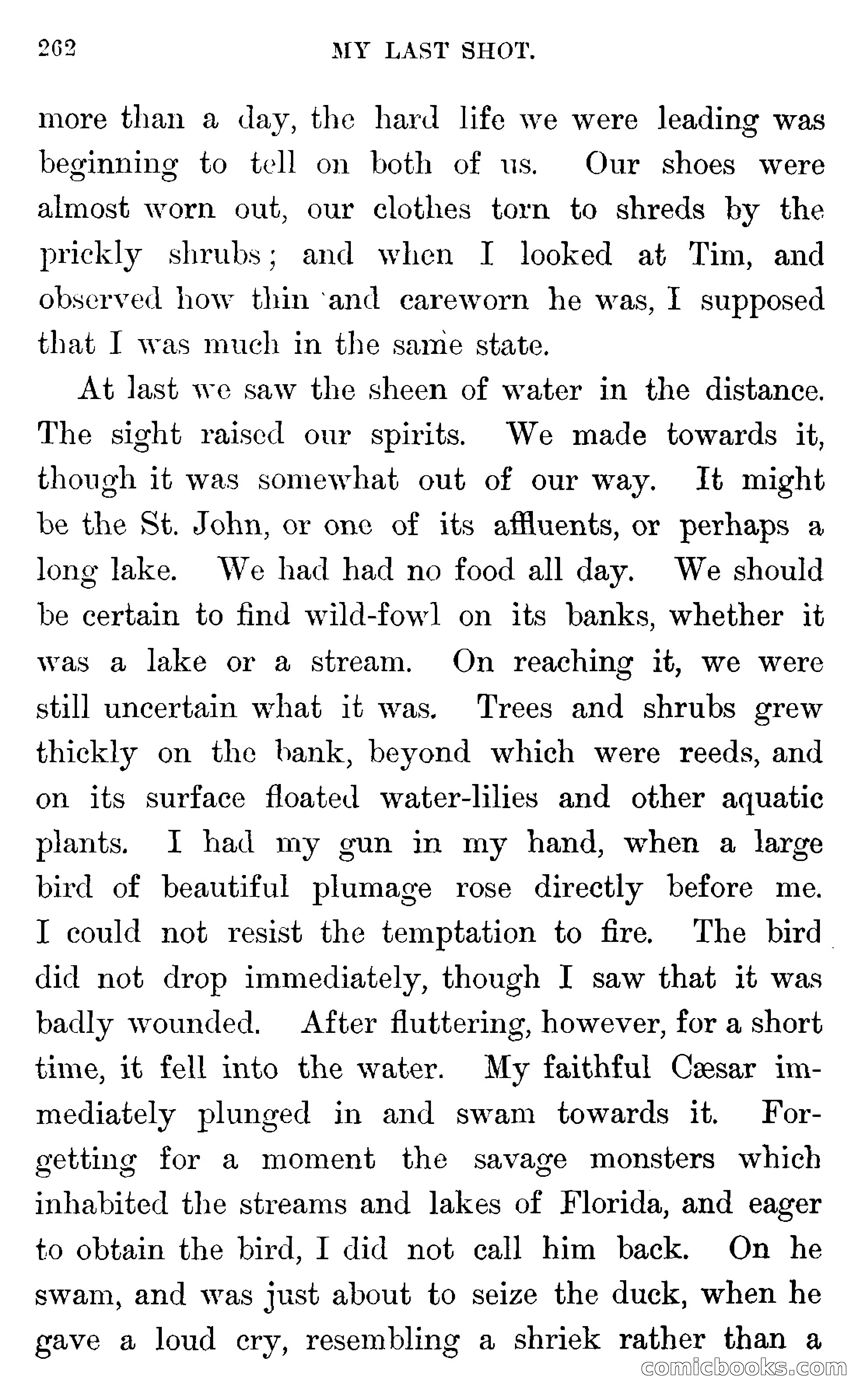 In the Wilds of Florida — page 264 of 400