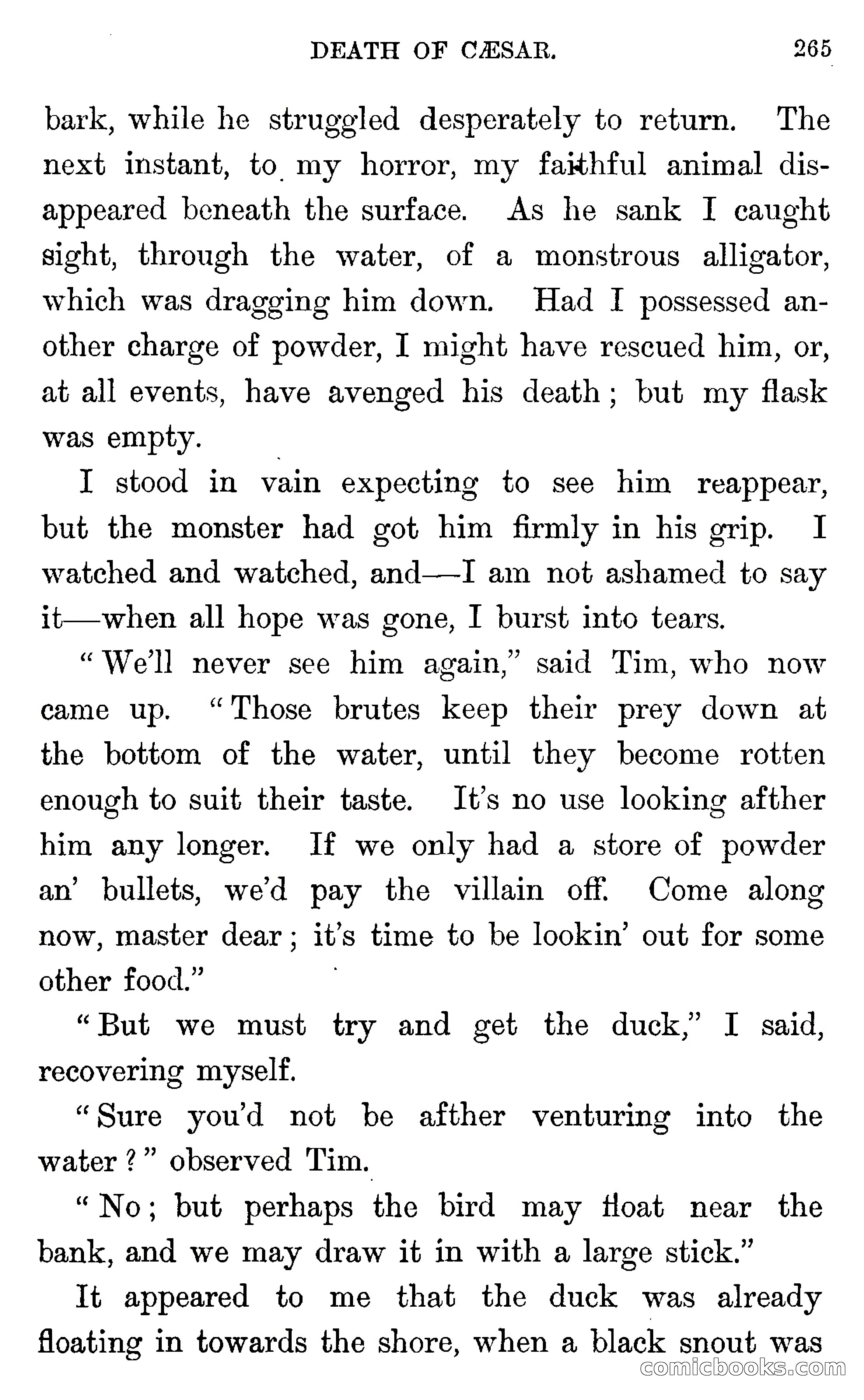 In the Wilds of Florida — page 267 of 400