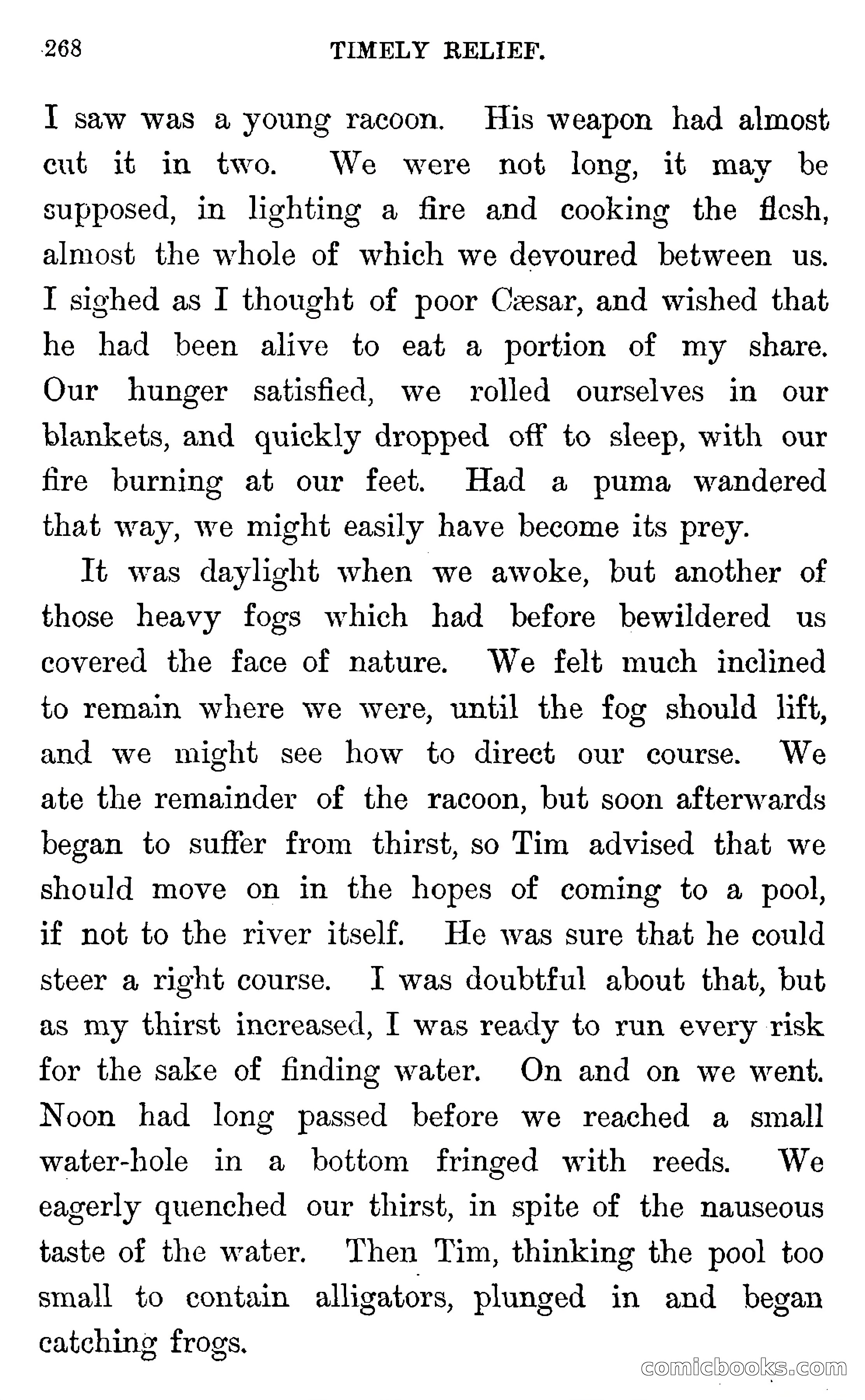 In the Wilds of Florida — page 270 of 400