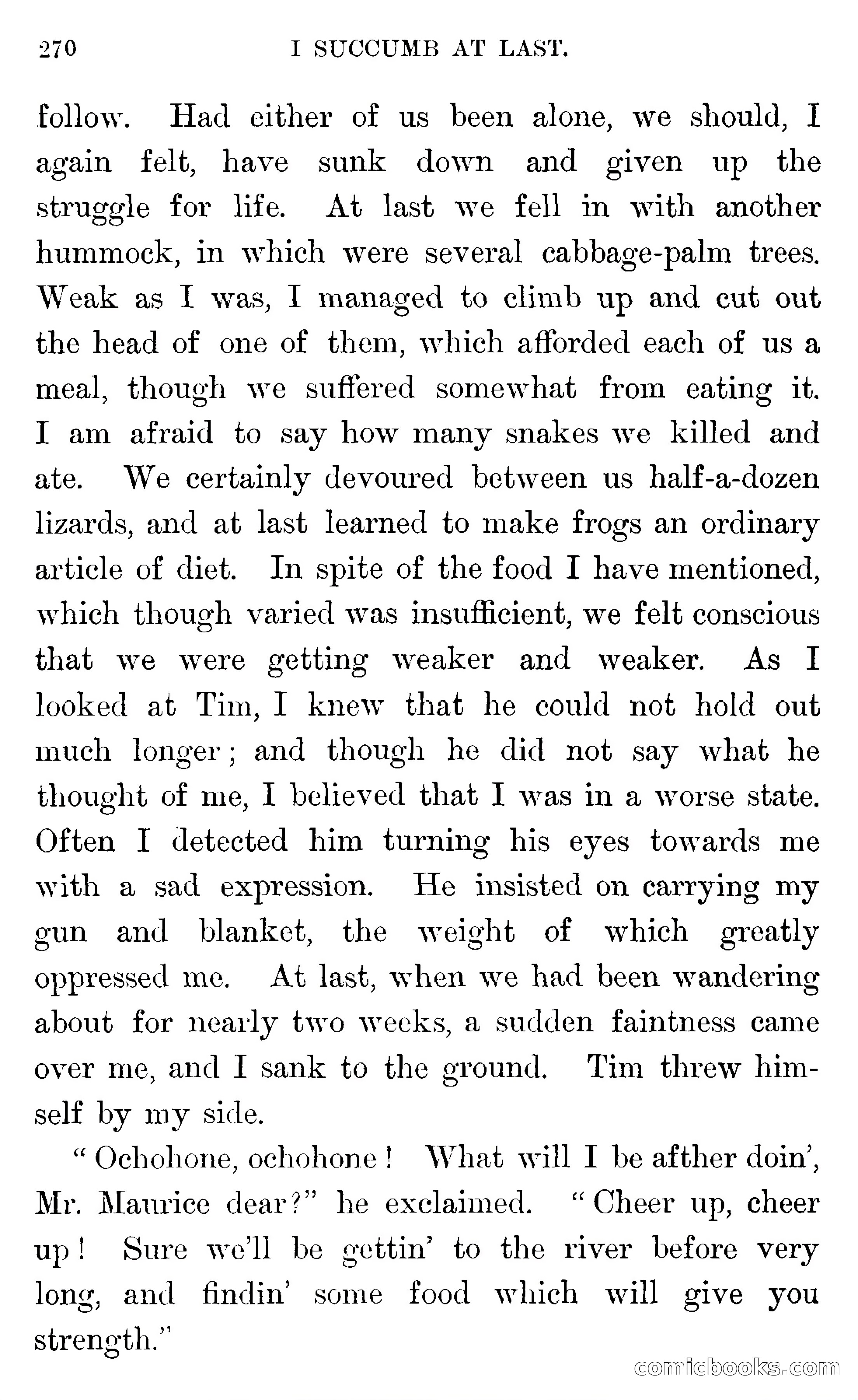 In the Wilds of Florida — page 272 of 400
